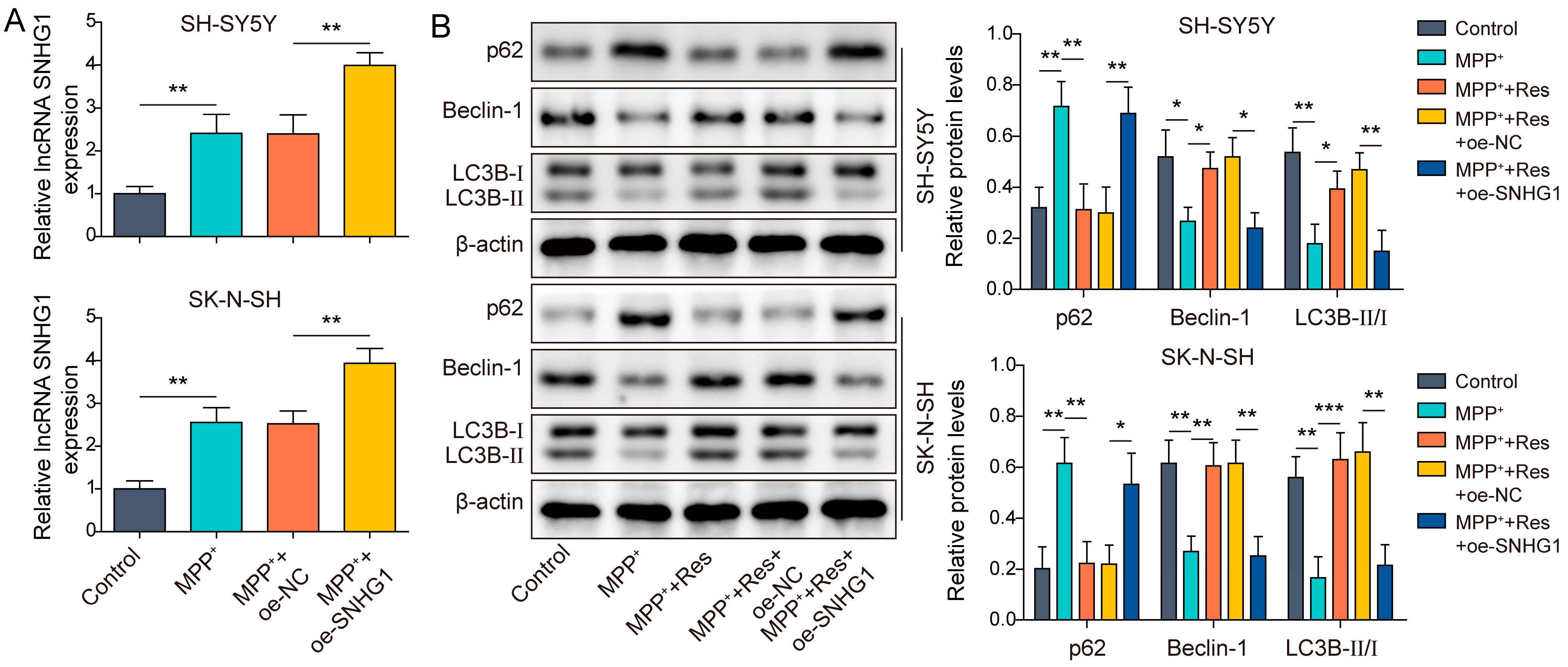 Brainsci 13 01124 g002