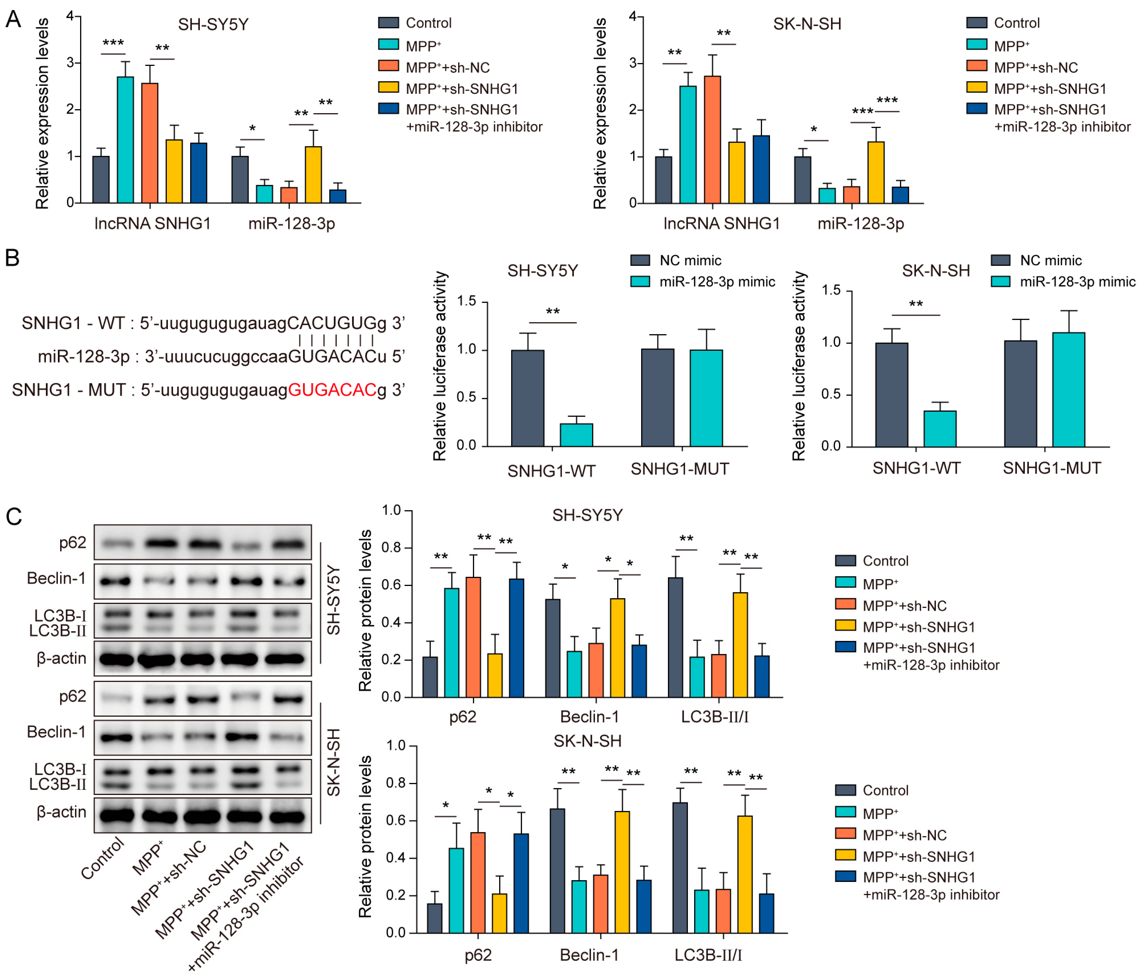 Brainsci 13 01124 g003