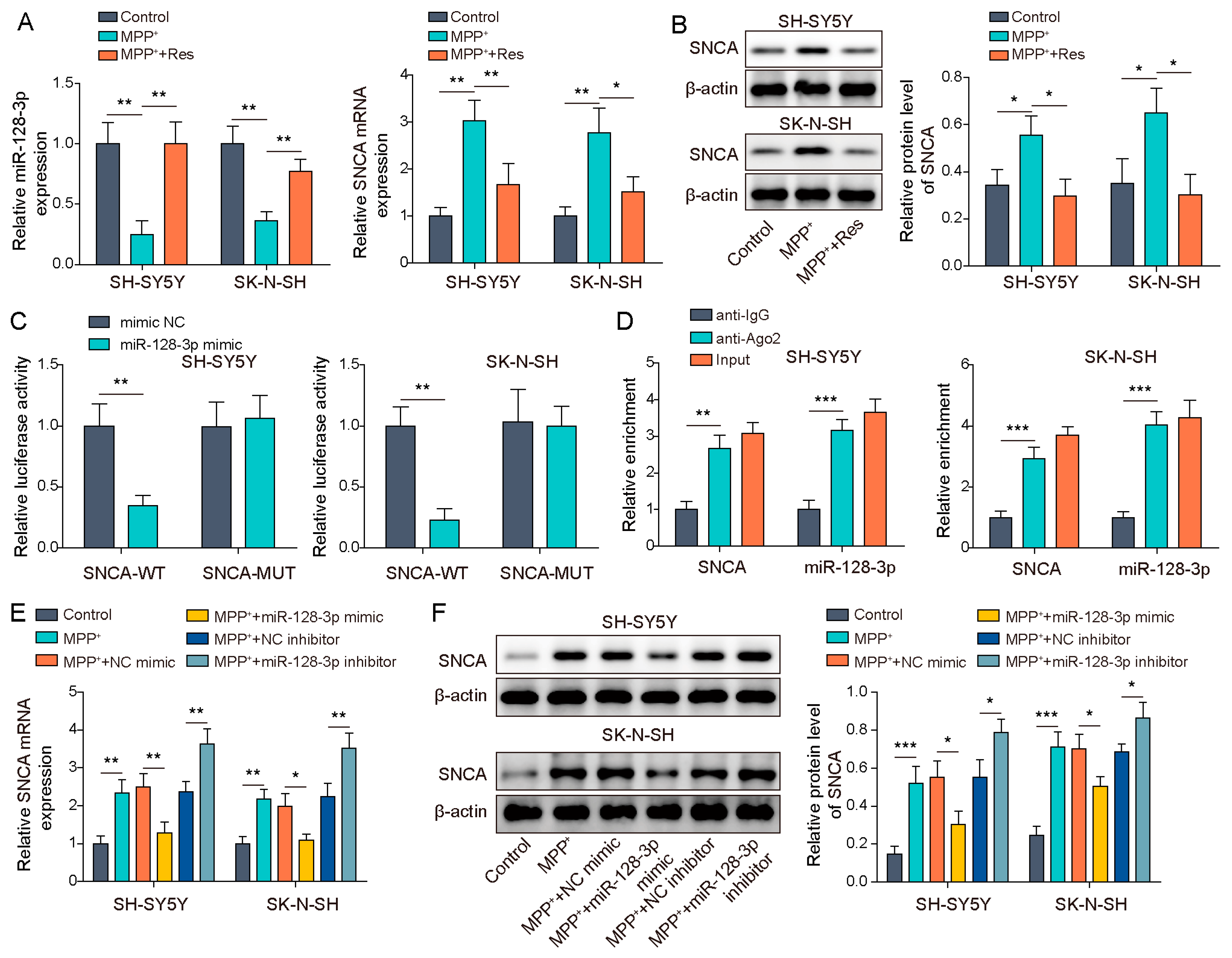Brainsci 13 01124 g004