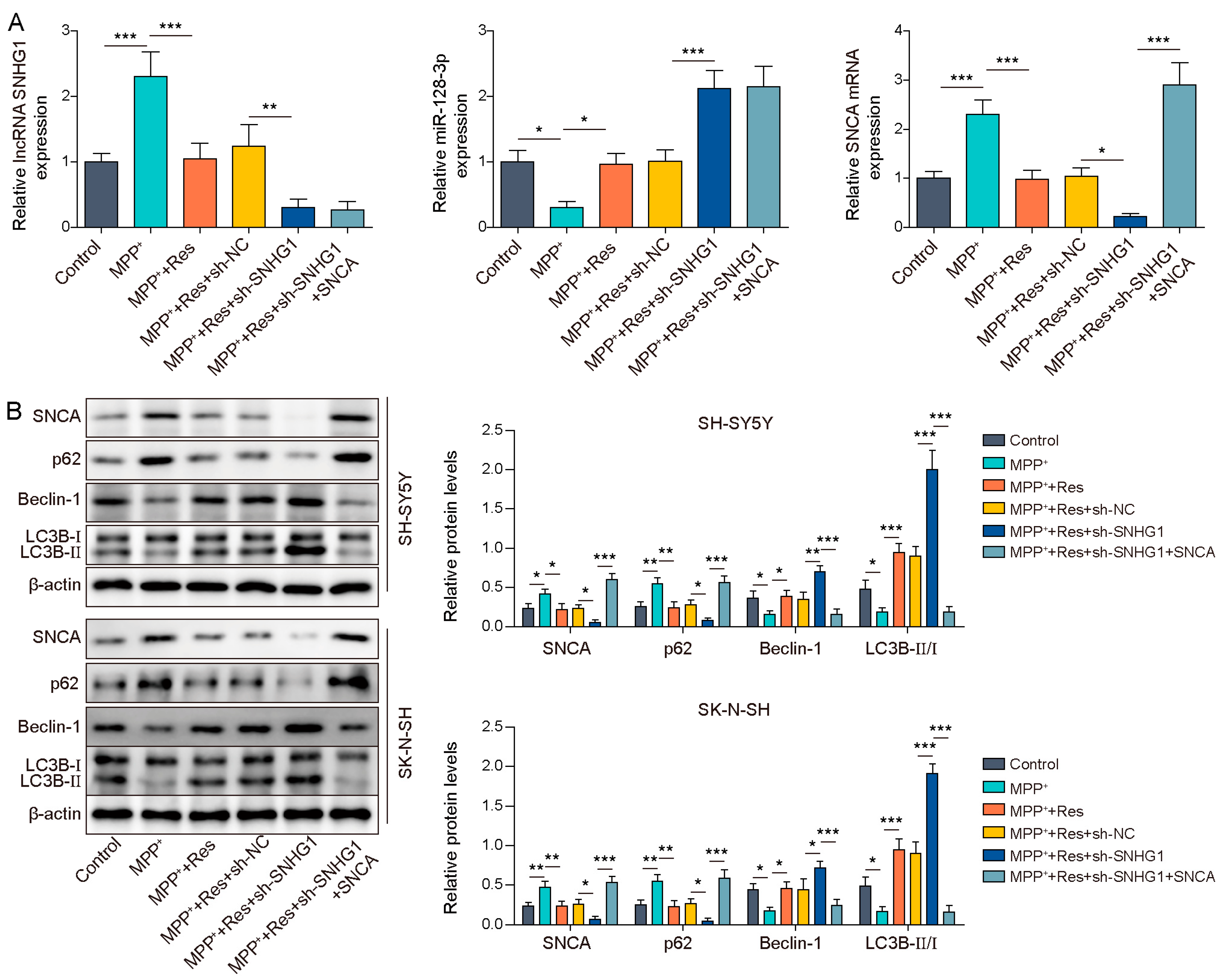 Brainsci 13 01124 g005