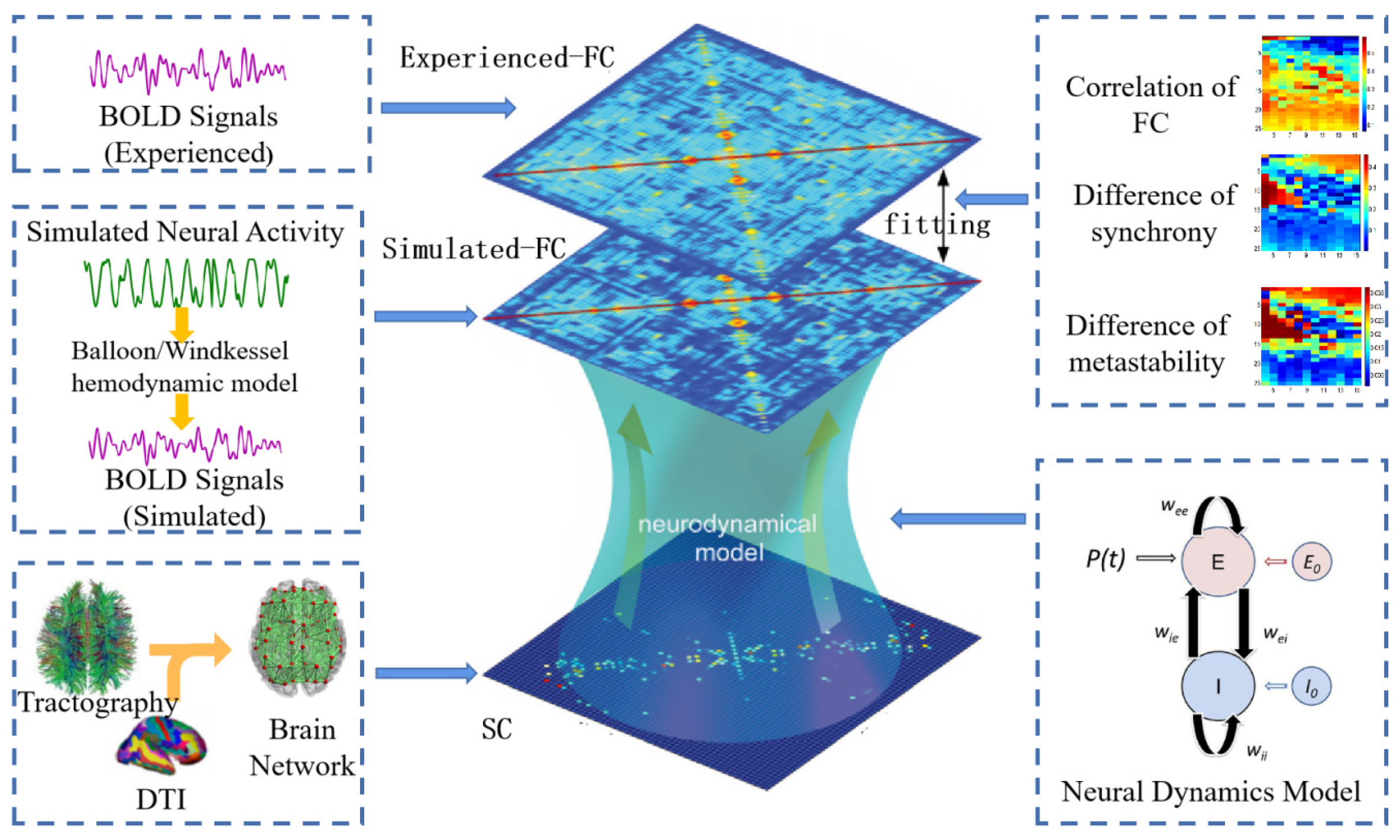 Brainsci 13 01133 g003