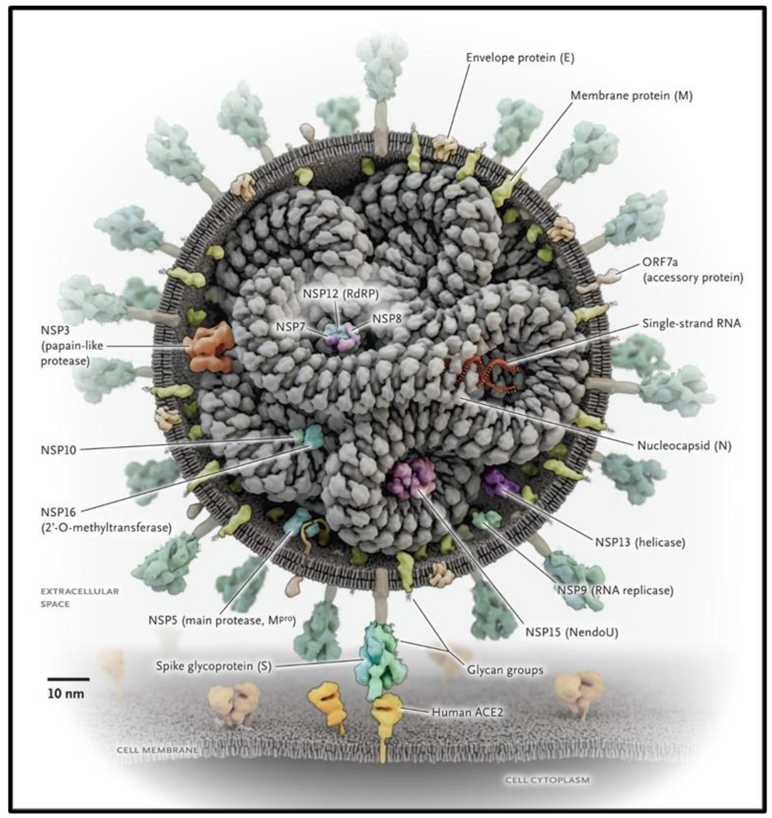 Brainsci 13 01137 g001