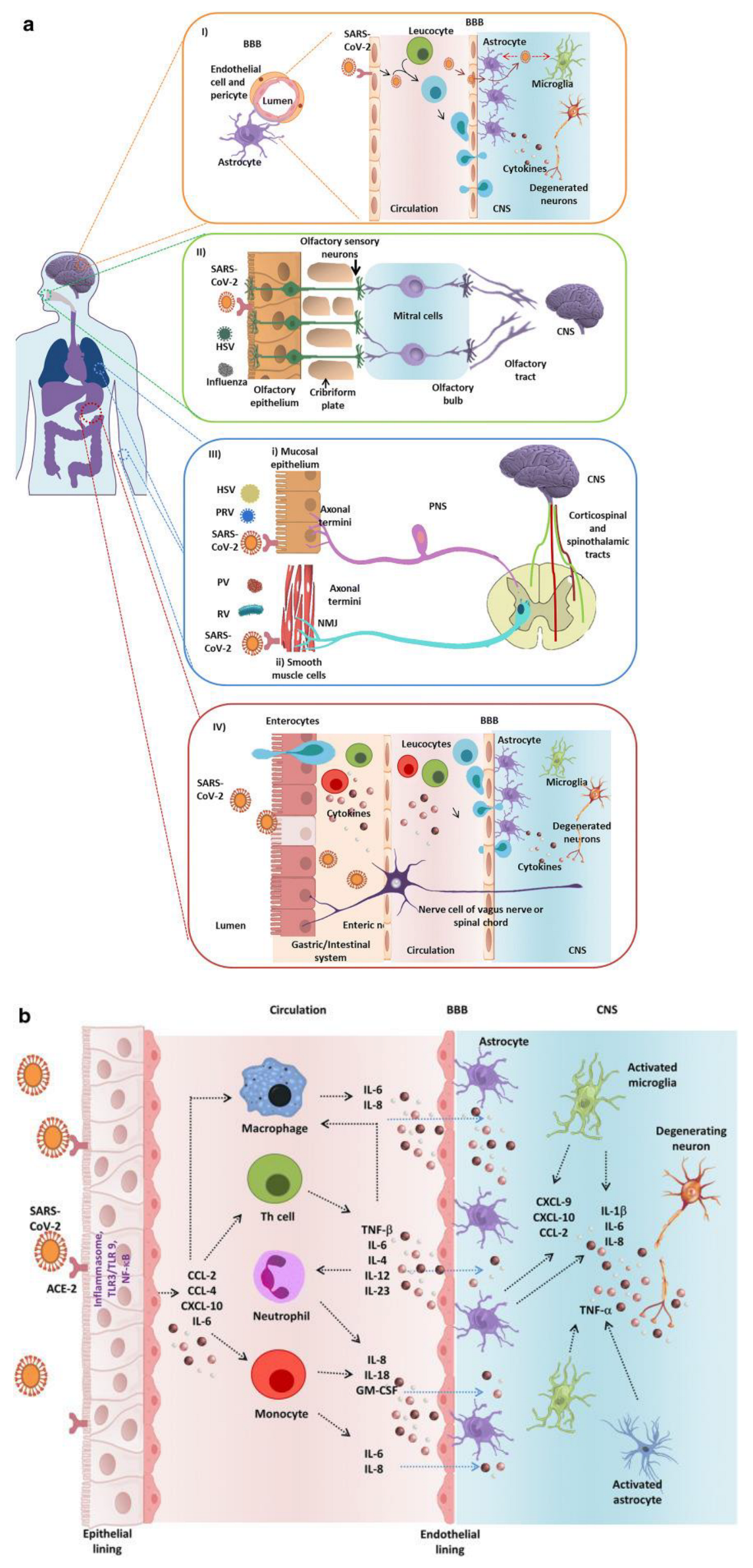 Brainsci 13 01137 g002