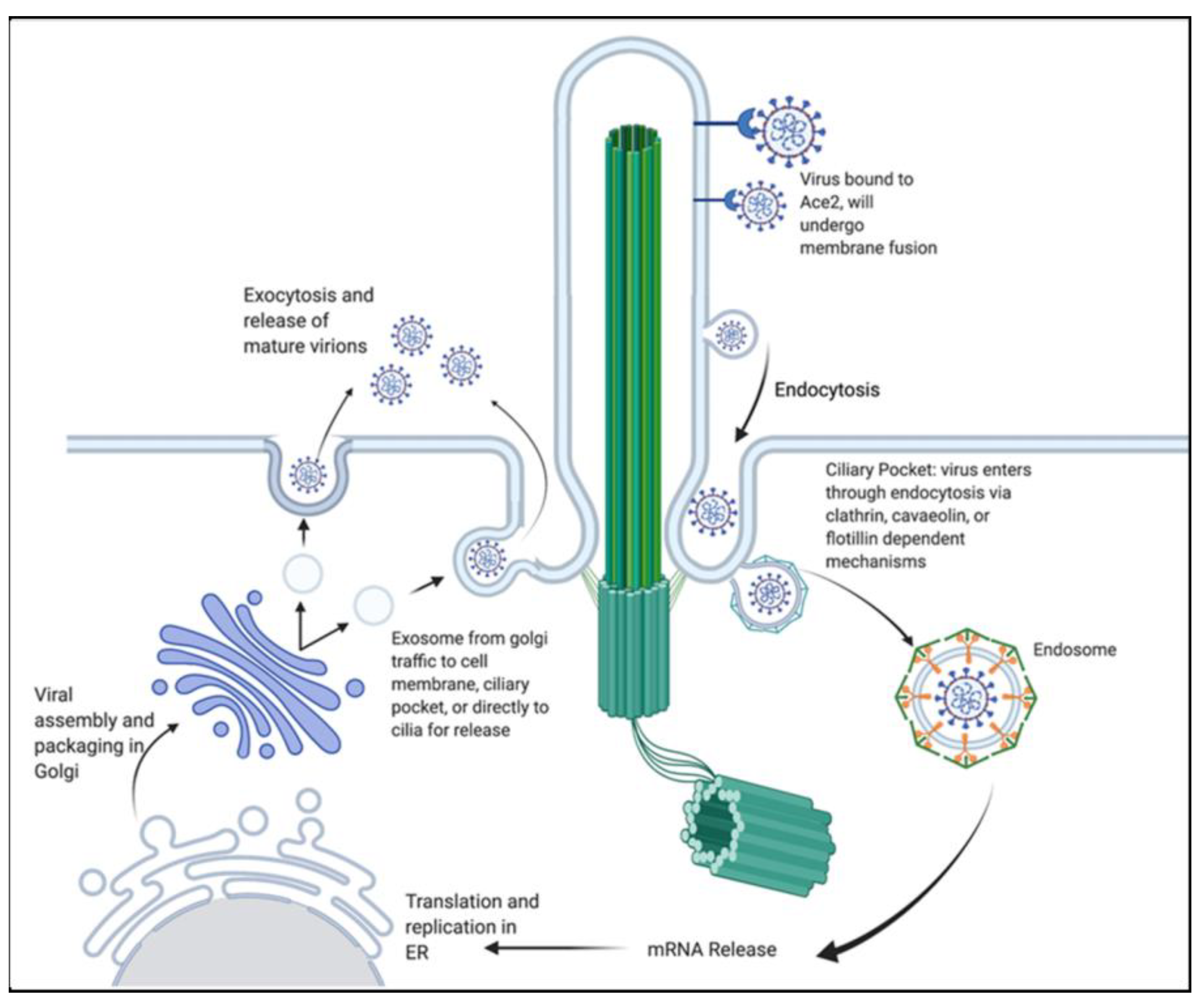 Brainsci 13 01137 g003