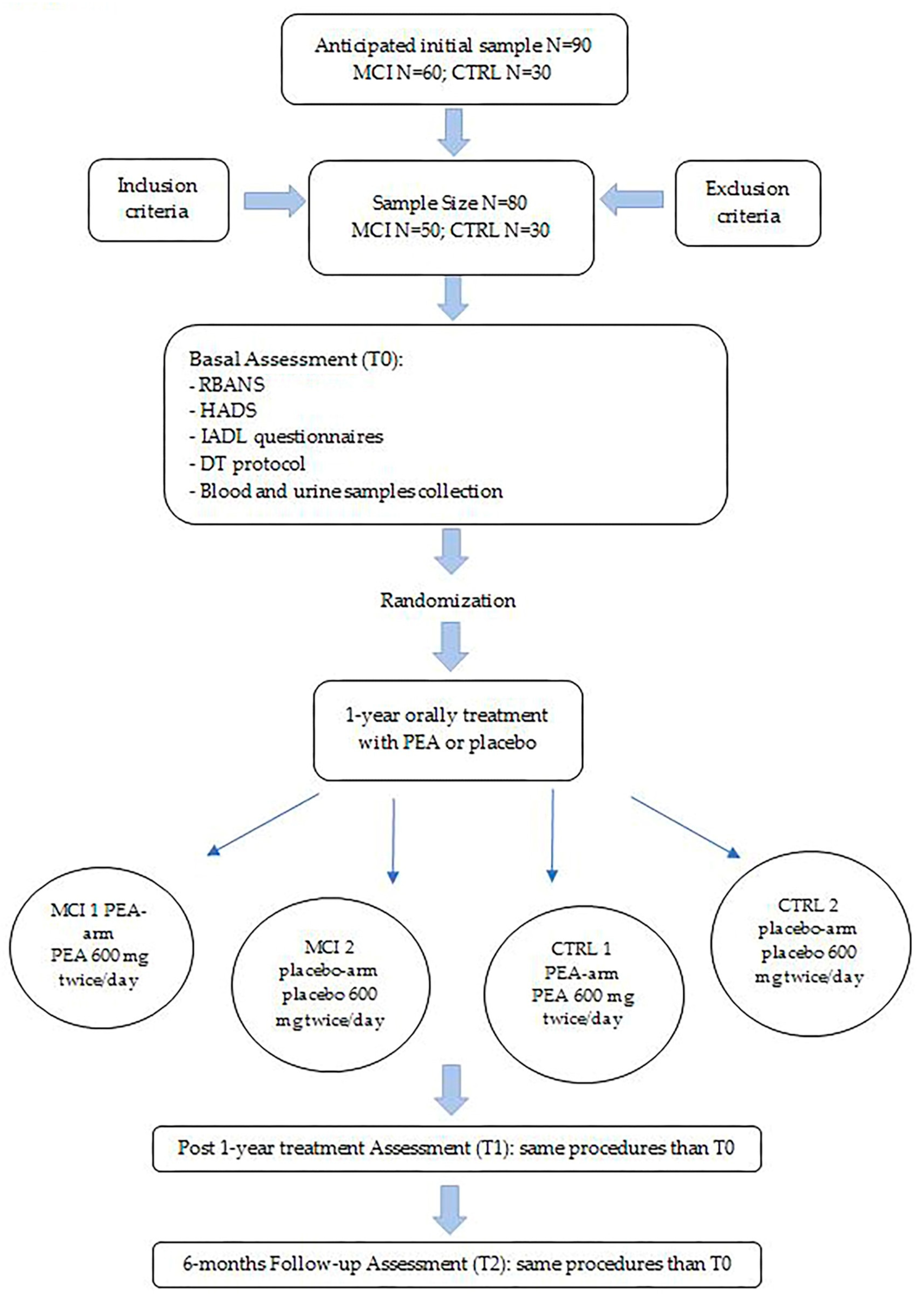 Brainsci 13 01138 g001