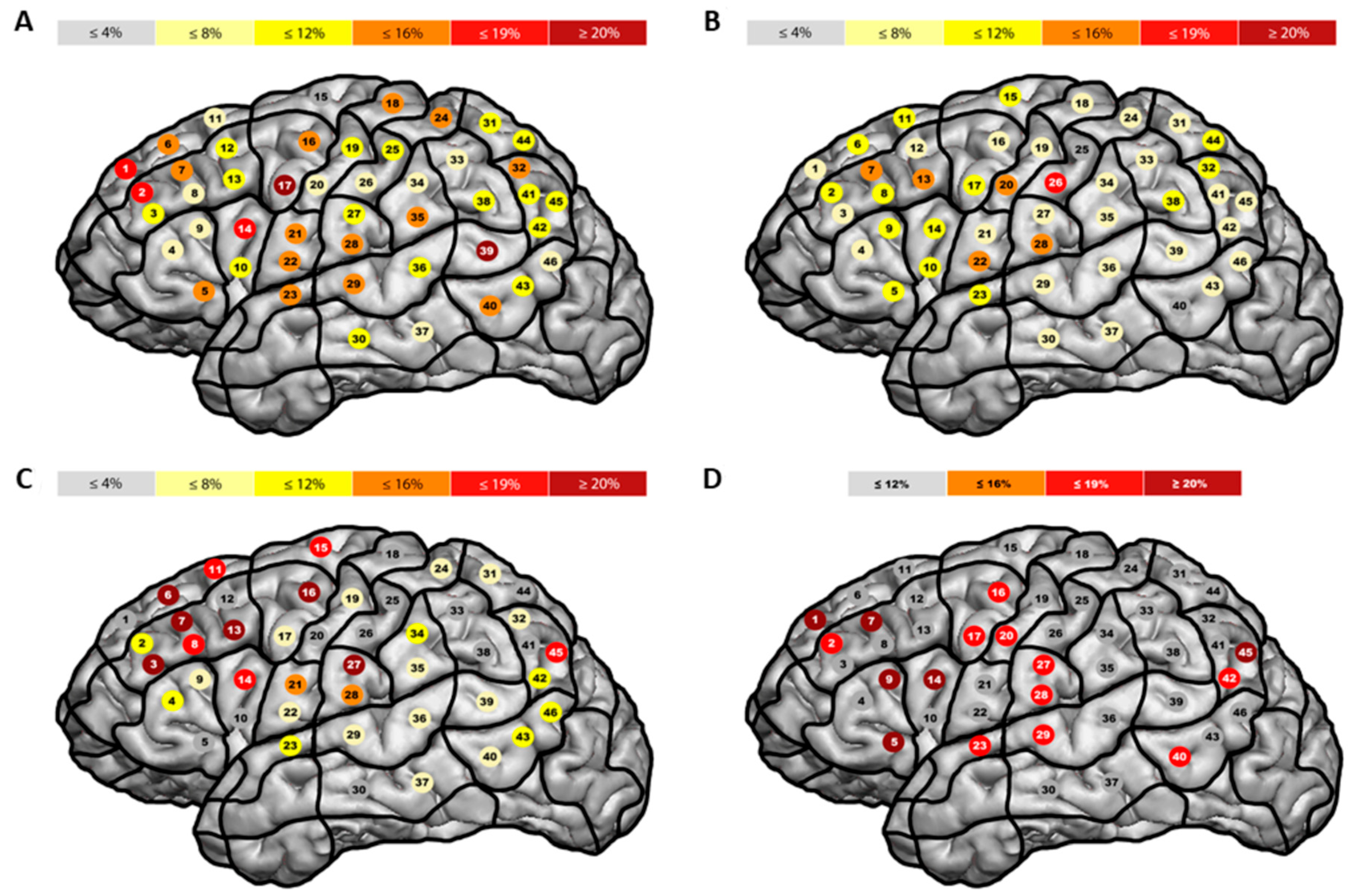 Brainsci 13 01141 g002