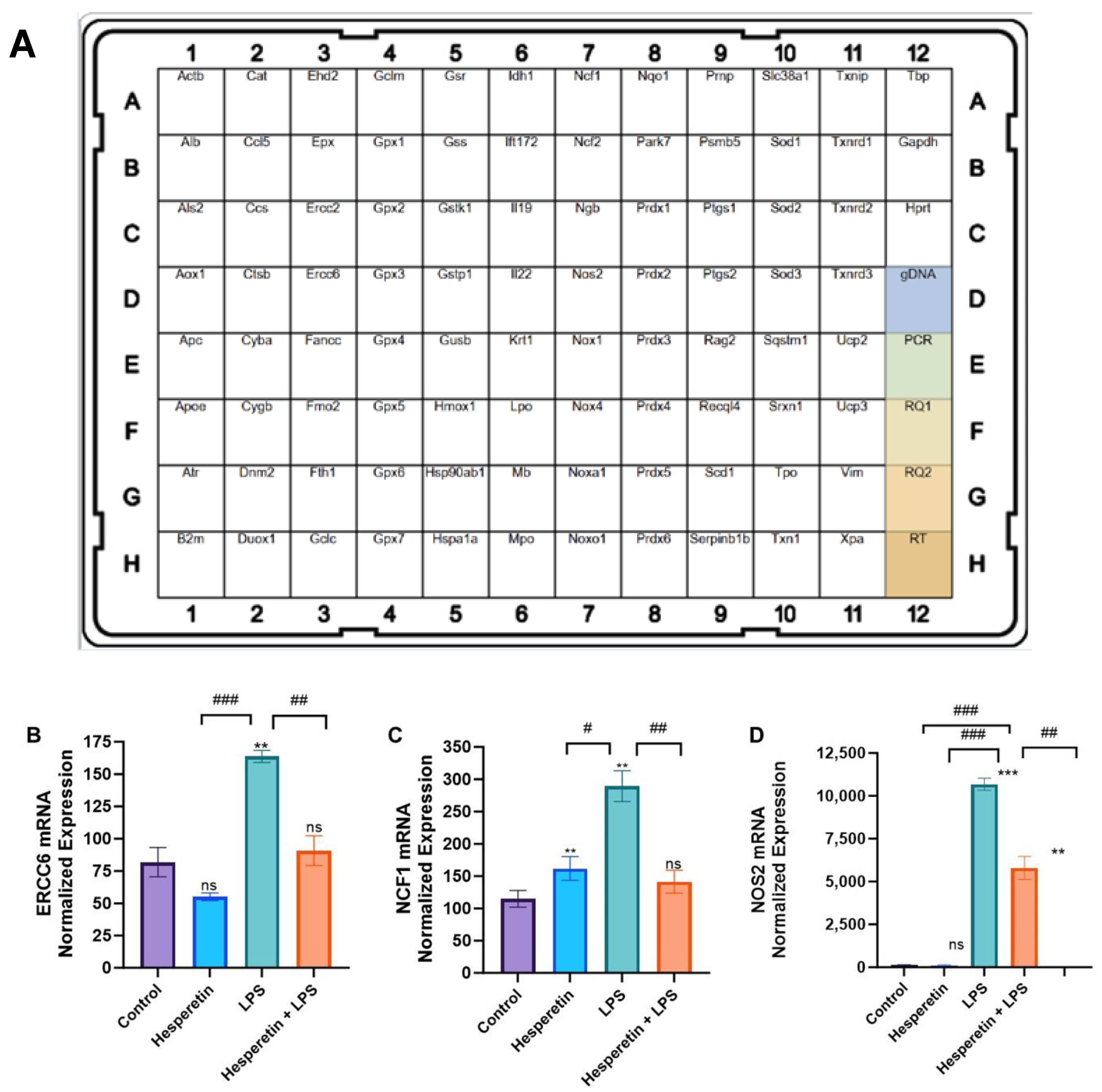 Brainsci 13 01144 g007