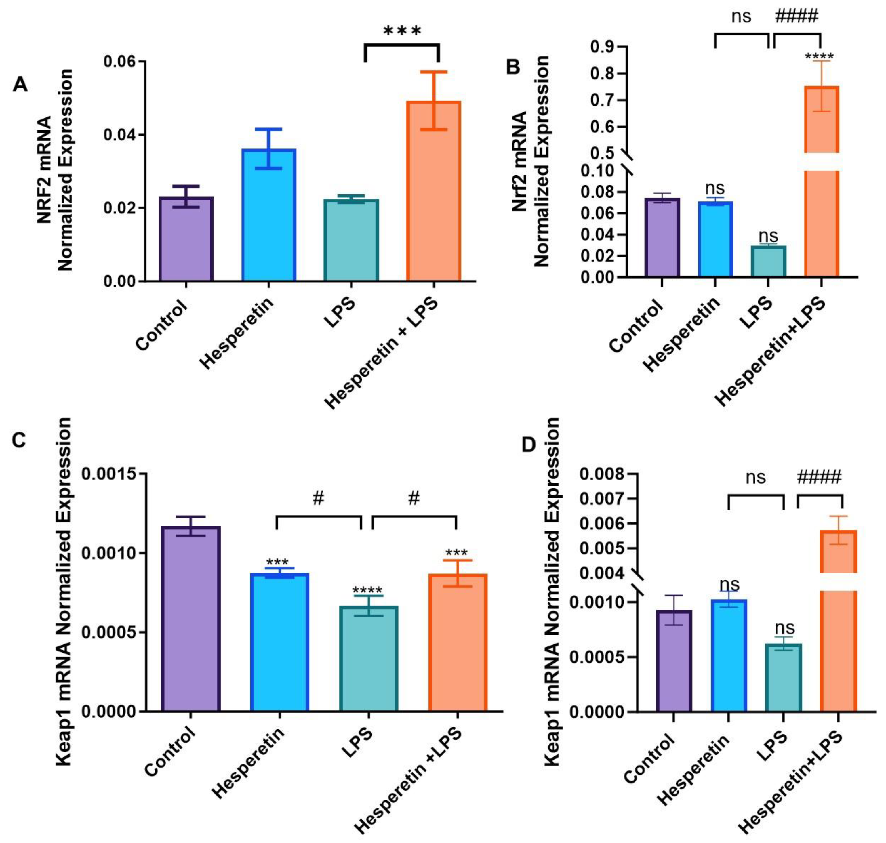 Brainsci 13 01144 g009