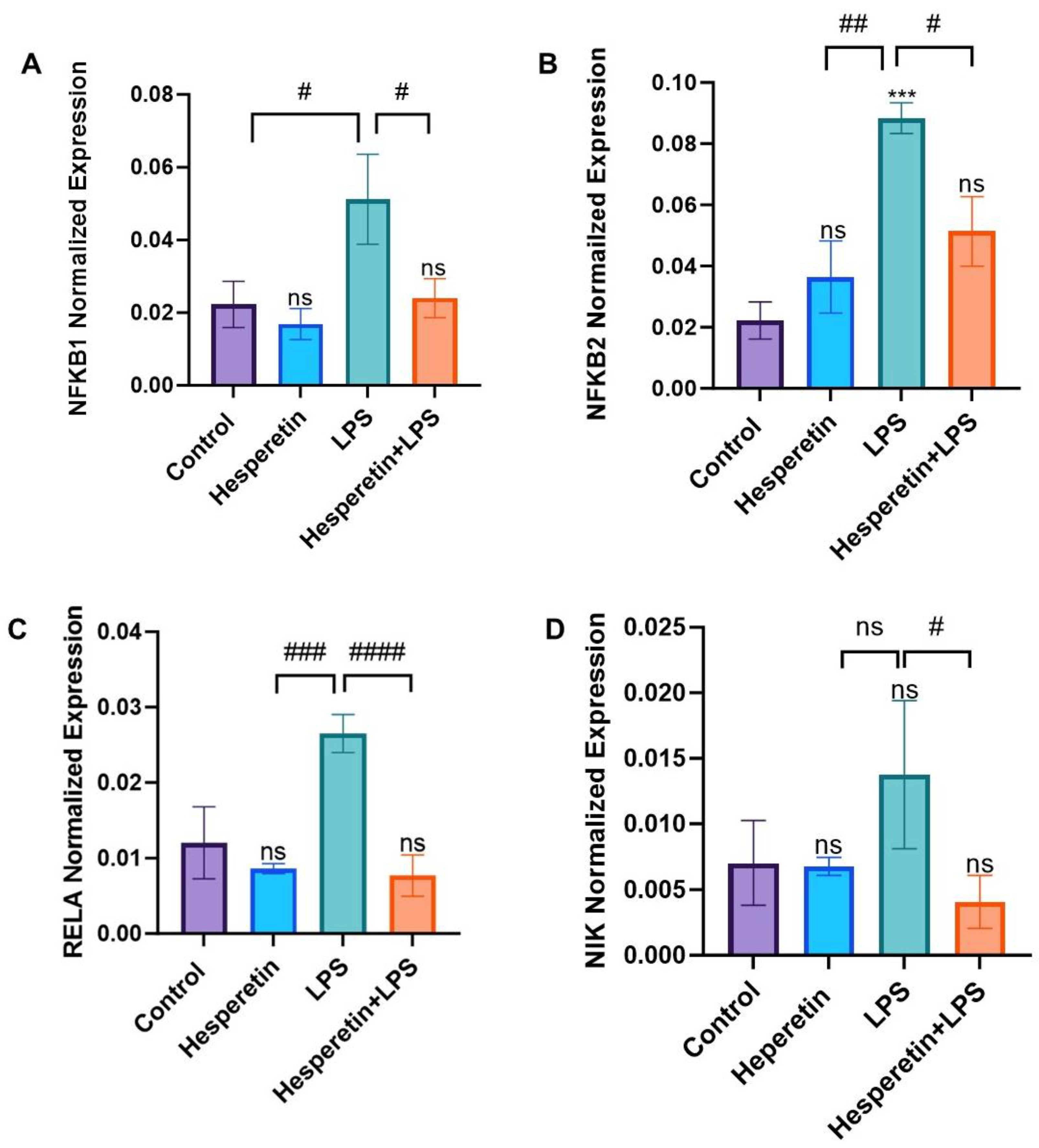 Brainsci 13 01144 g013