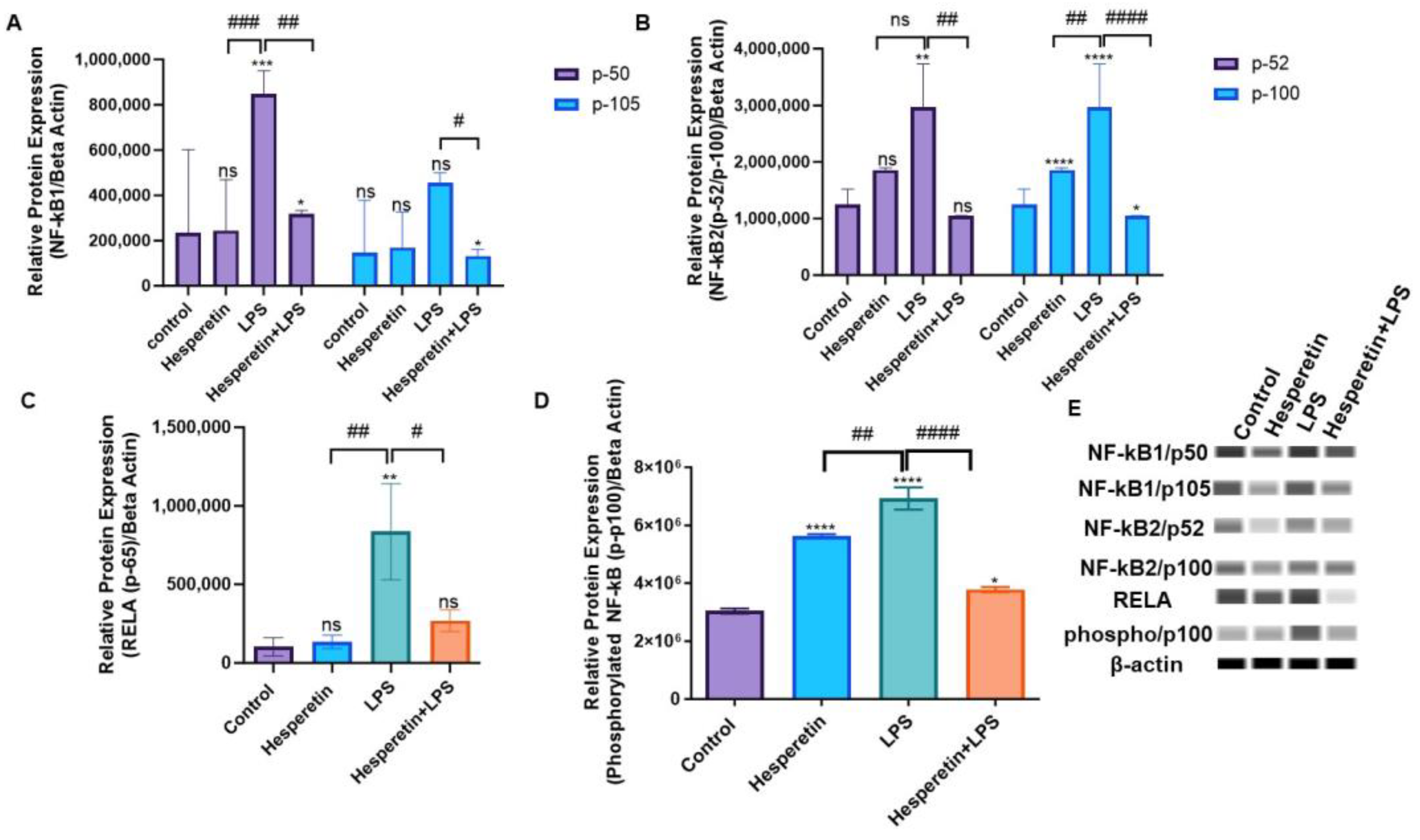 Brainsci 13 01144 g014