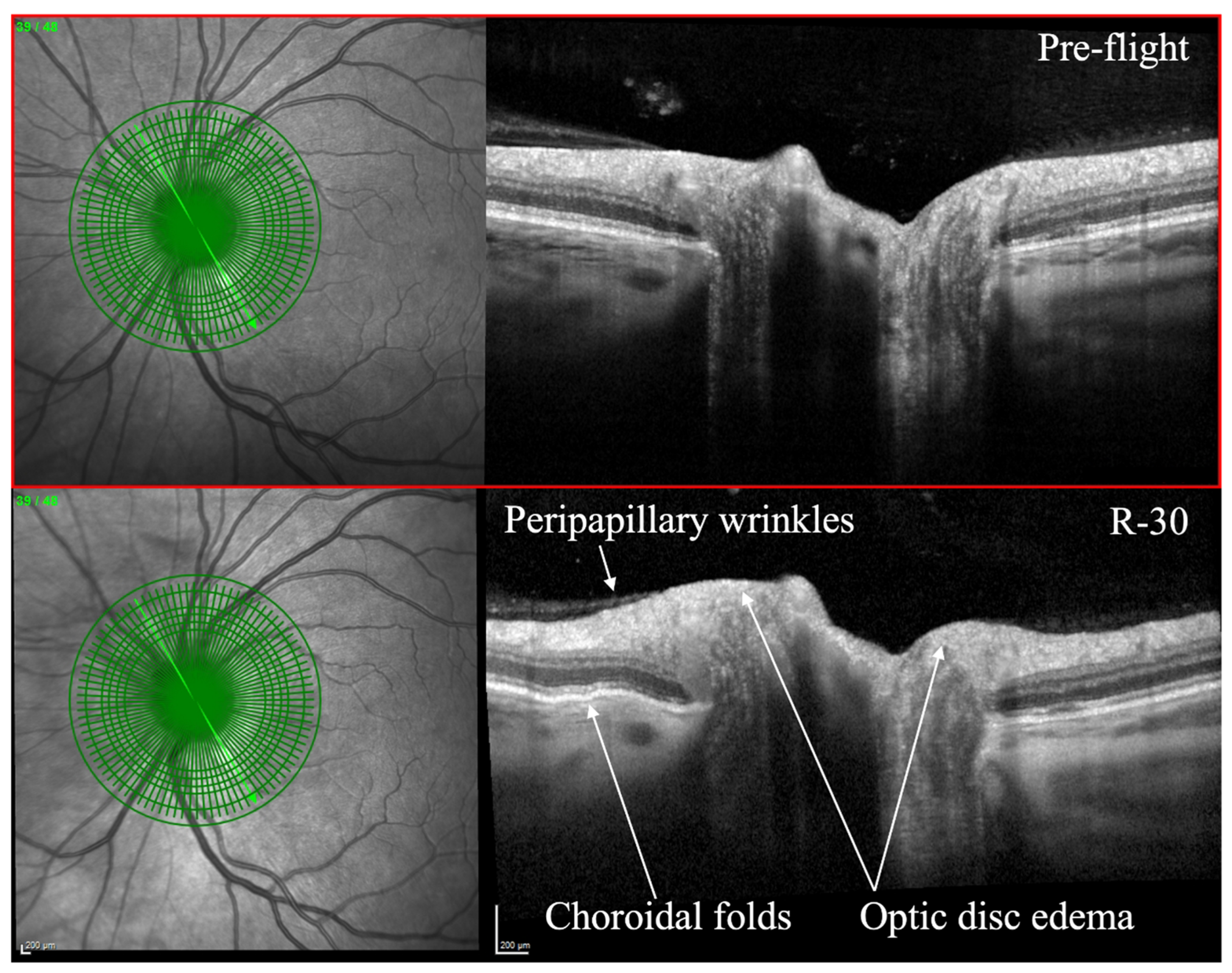 Brainsci 13 01148 g001