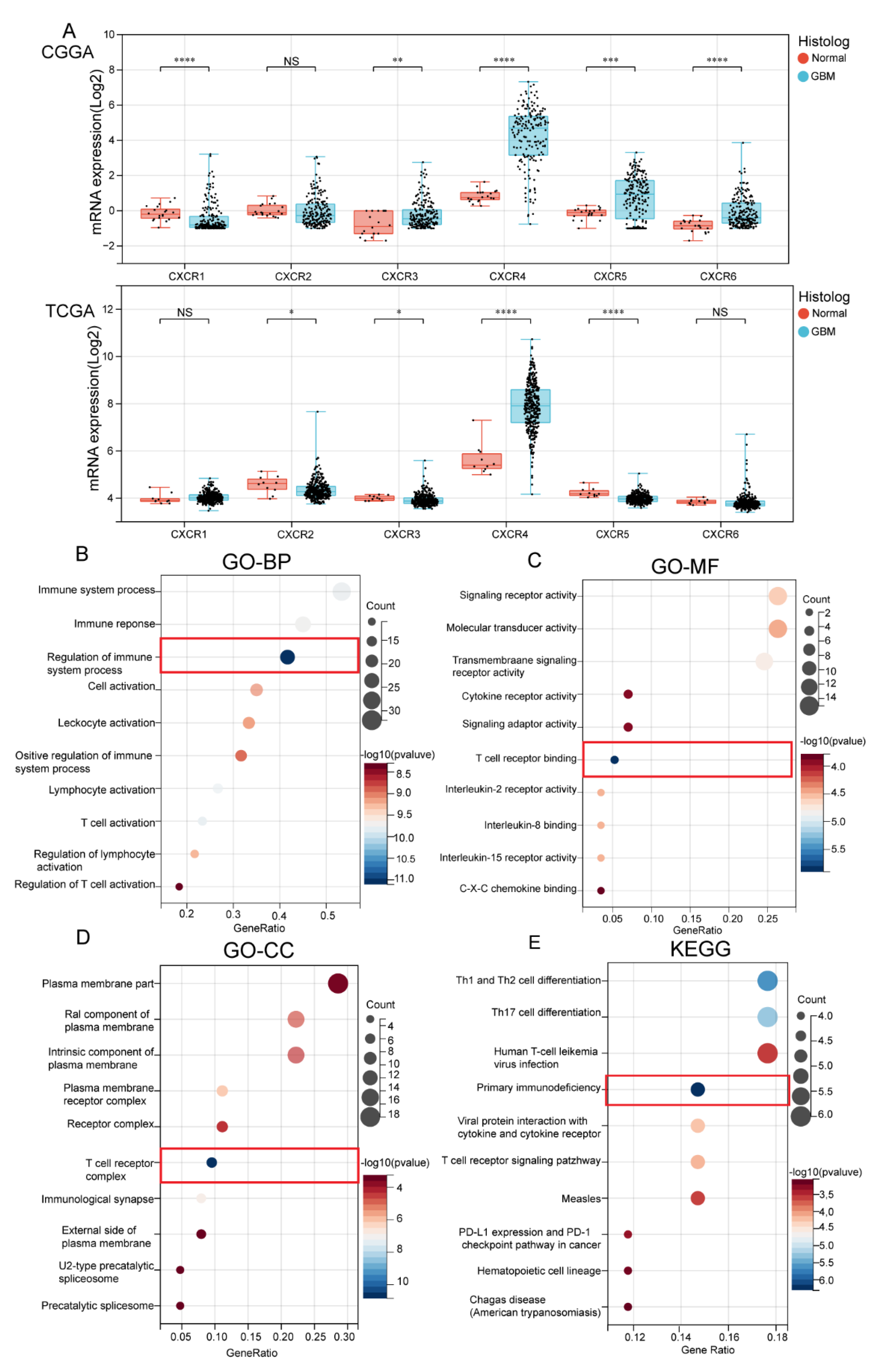 Brainsci 13 01152 g002