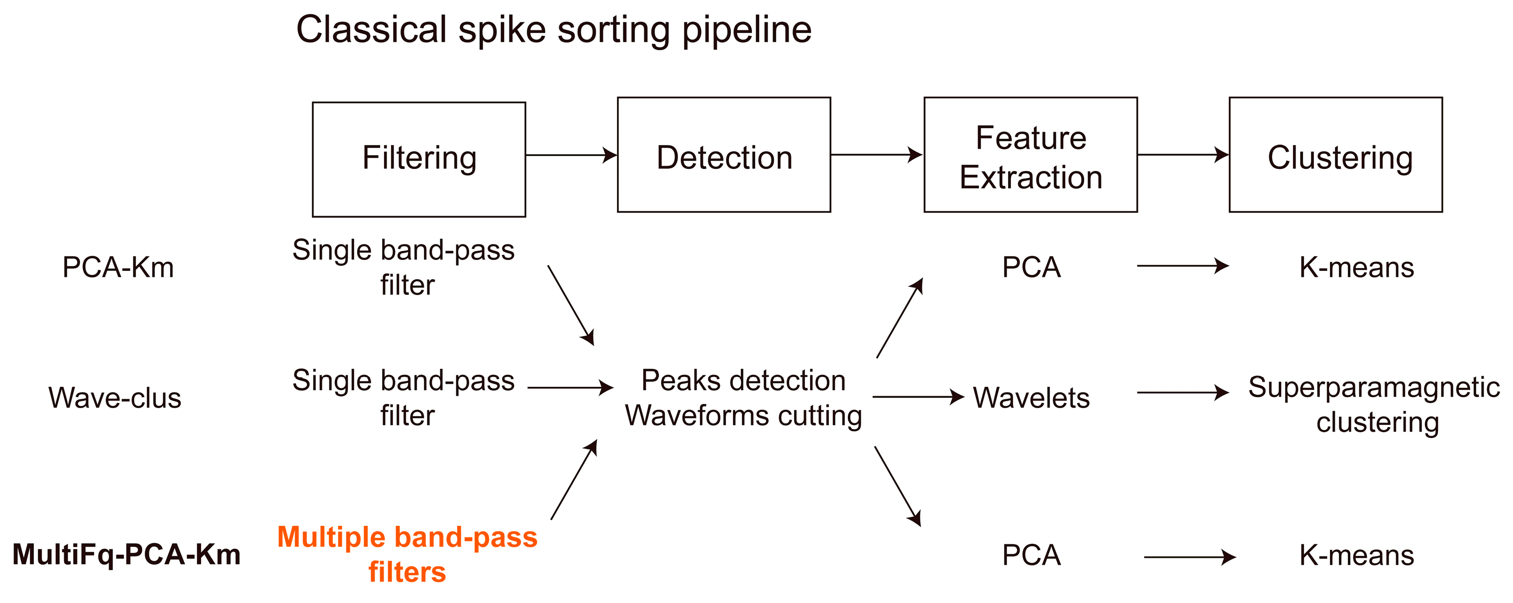 Brainsci 13 01156 g002
