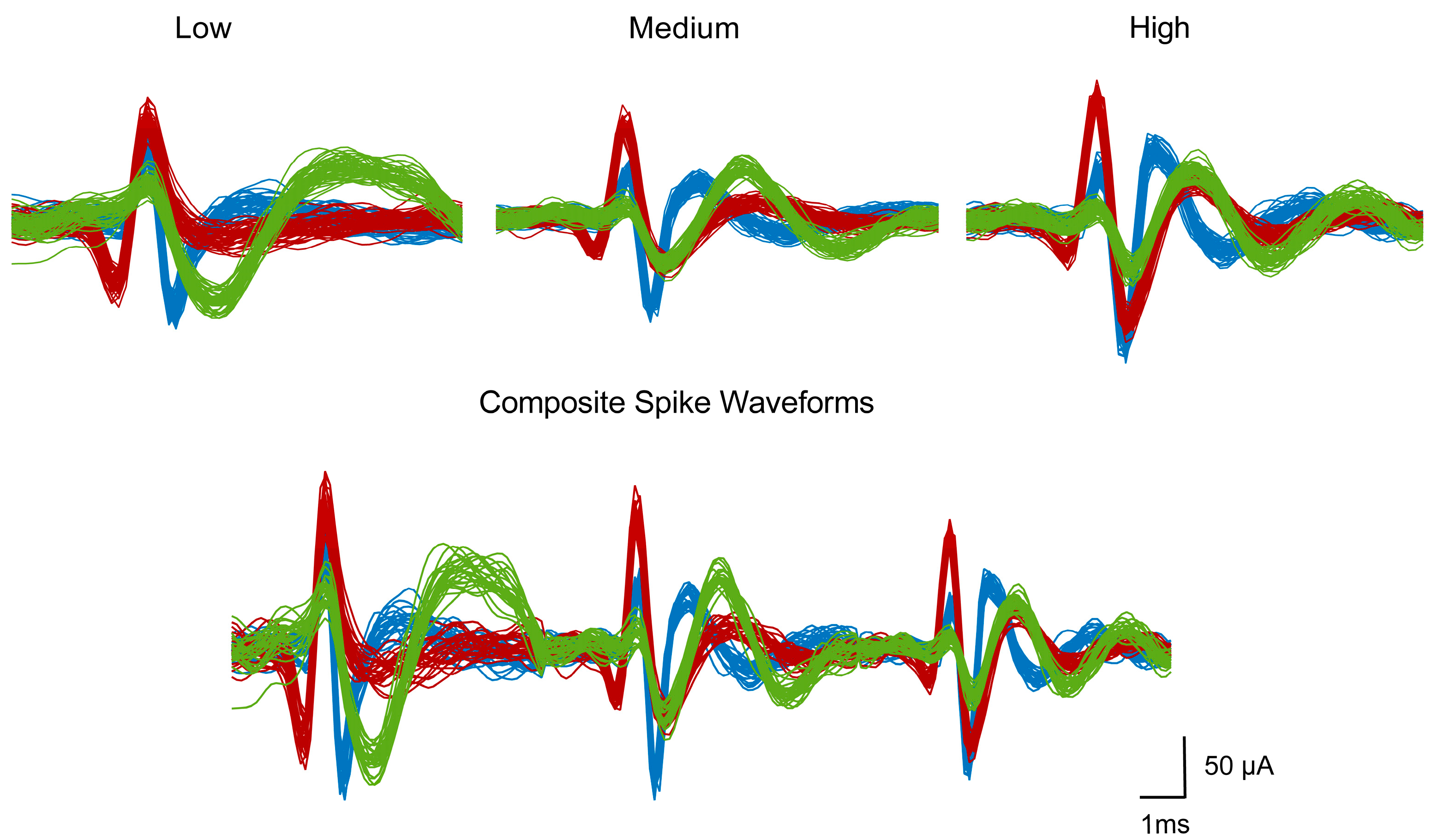 Brainsci 13 01156 g003
