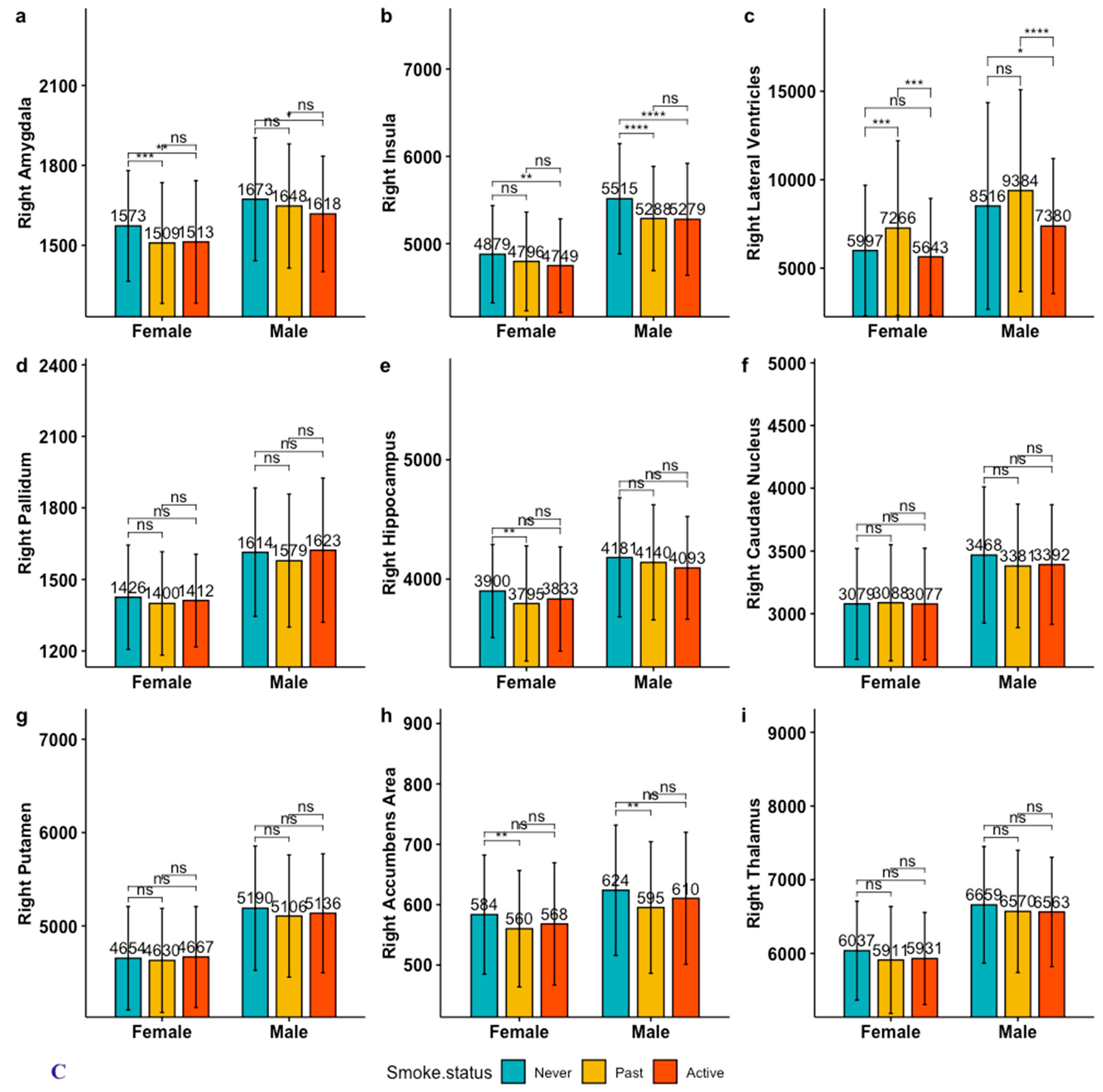 Brainsci 13 01164 g001c