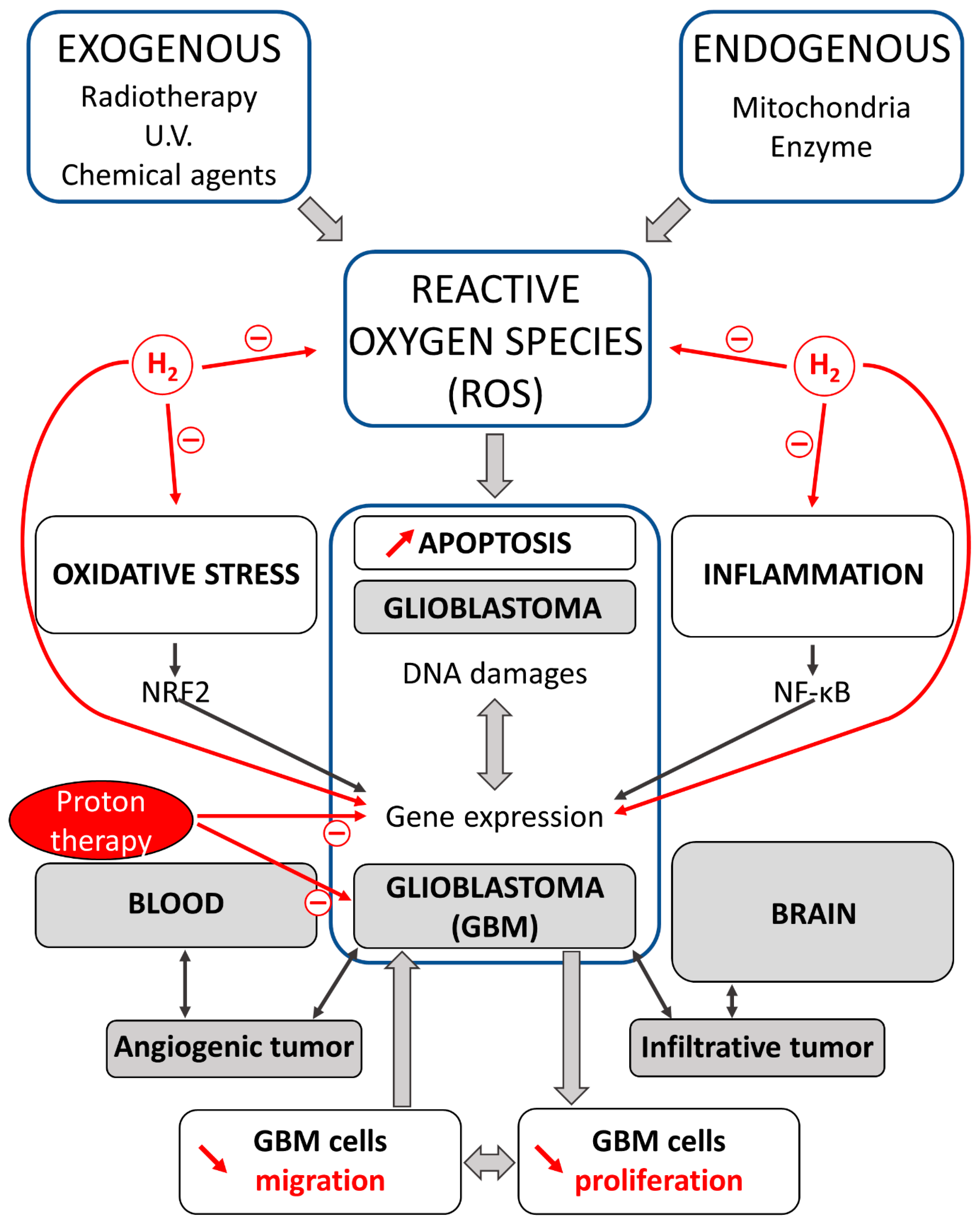 Brainsci 13 01168 g001