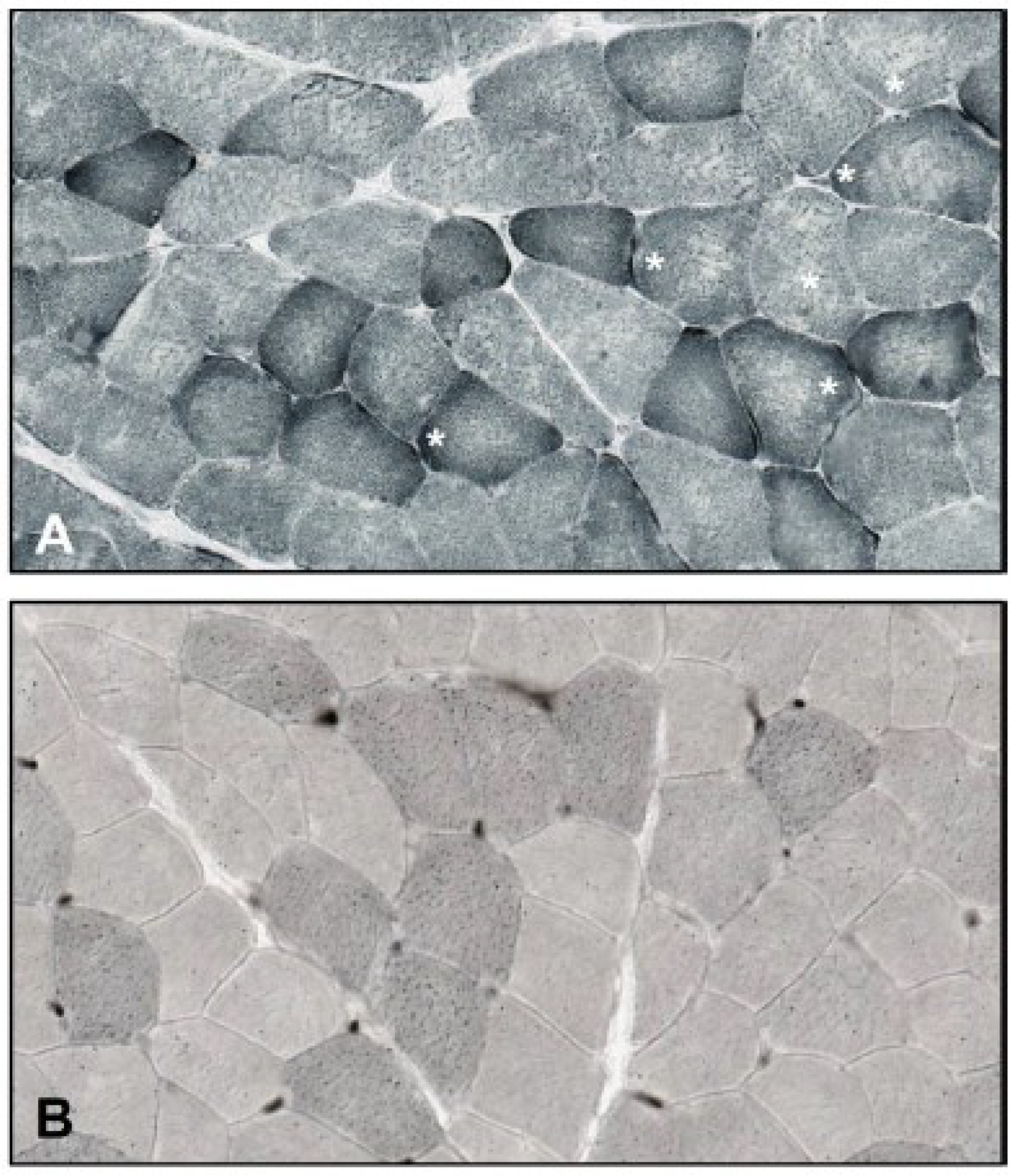 Brainsci 13 01178 g001