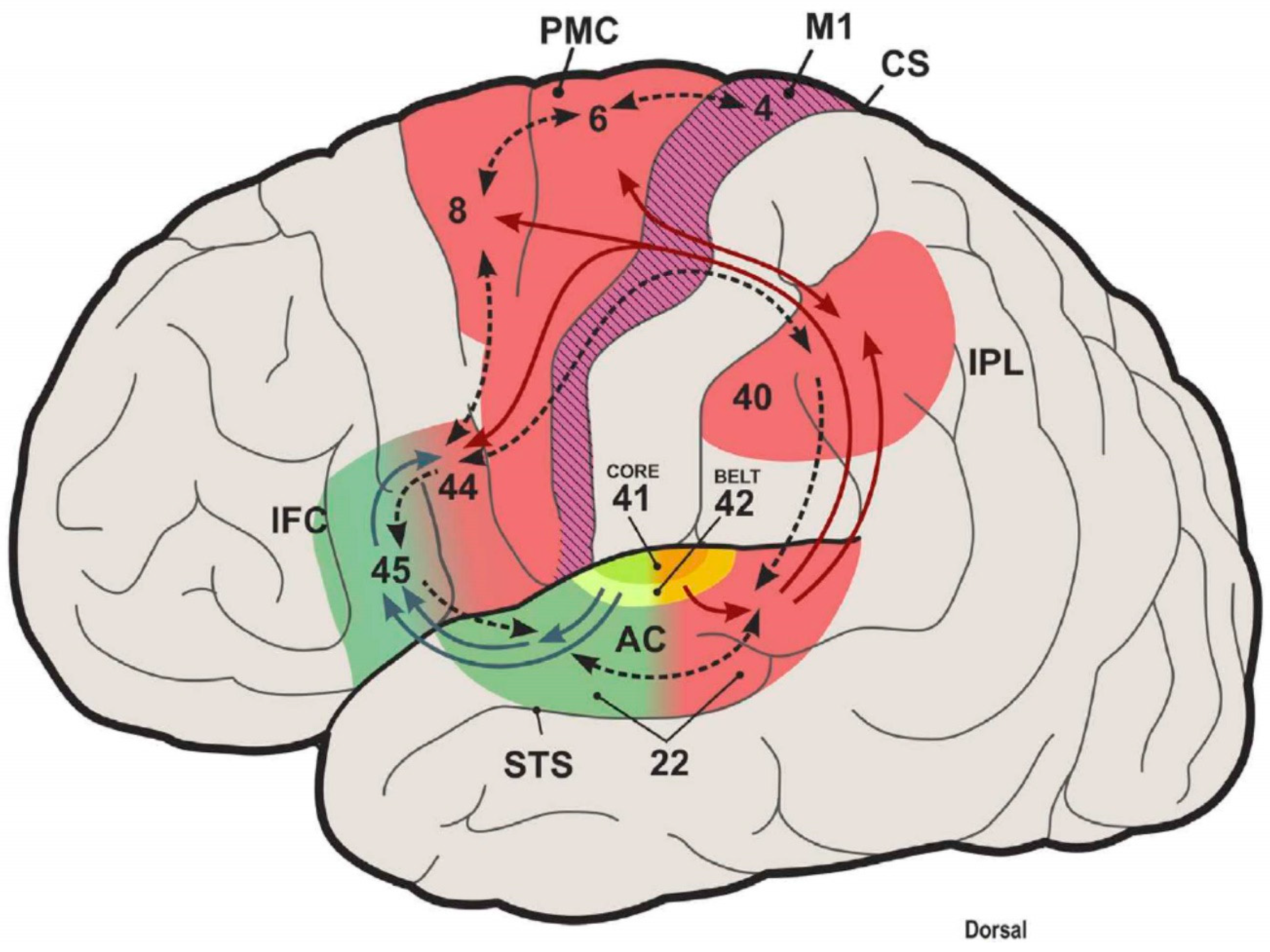 Brainsci 13 01190 g002