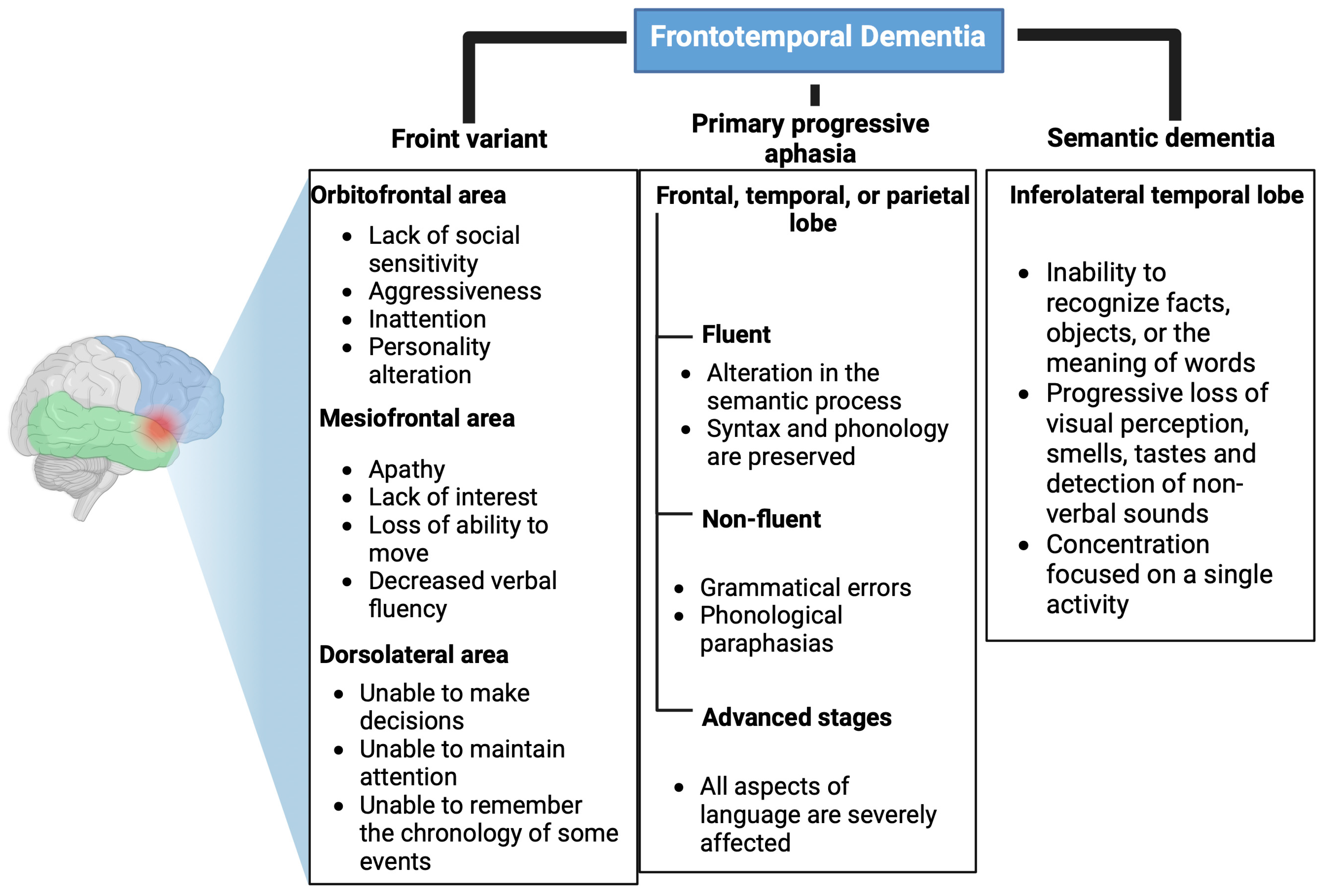 Brainsci 13 01194 g001