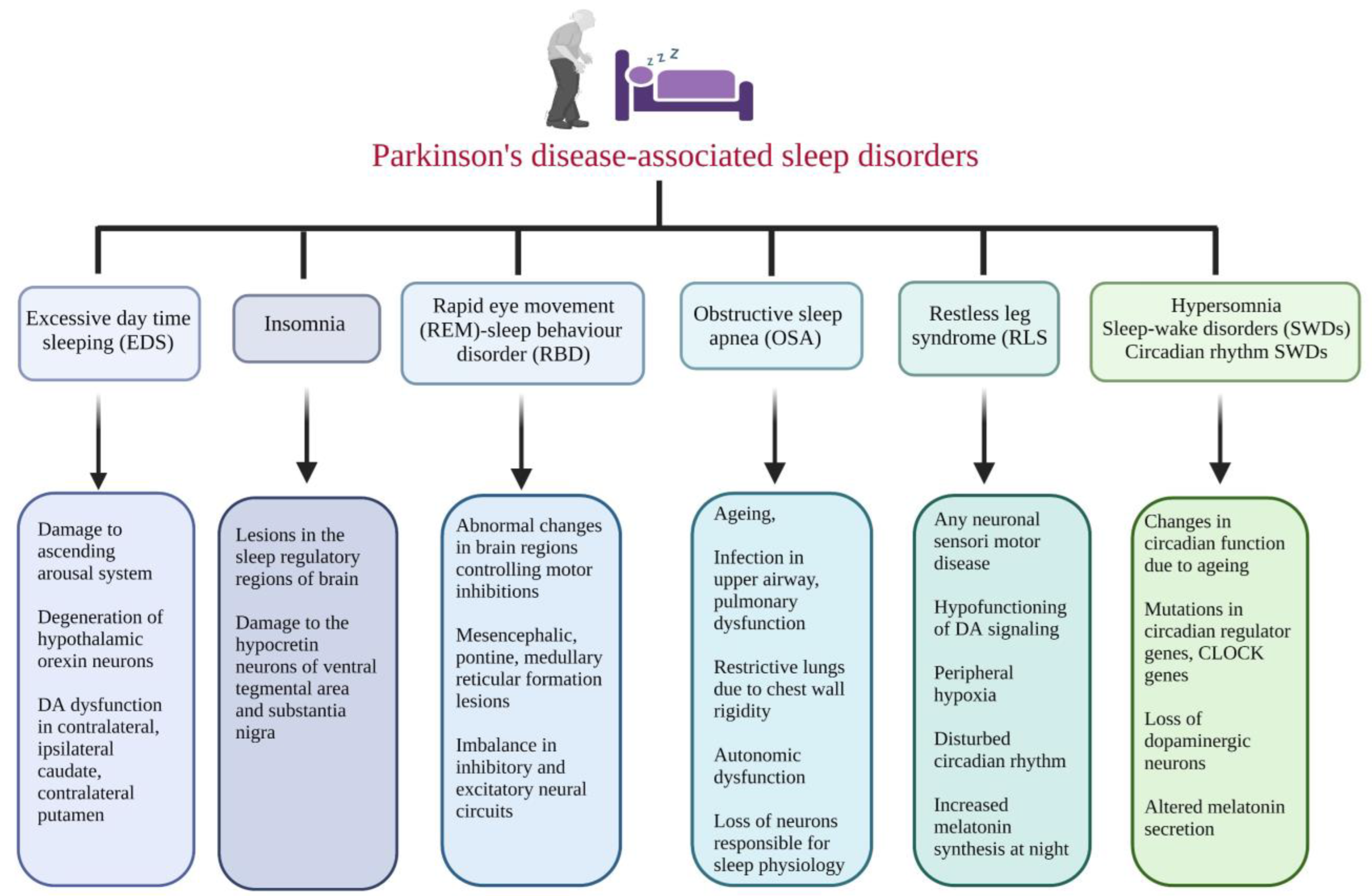 Brainsci 13 01202 g001