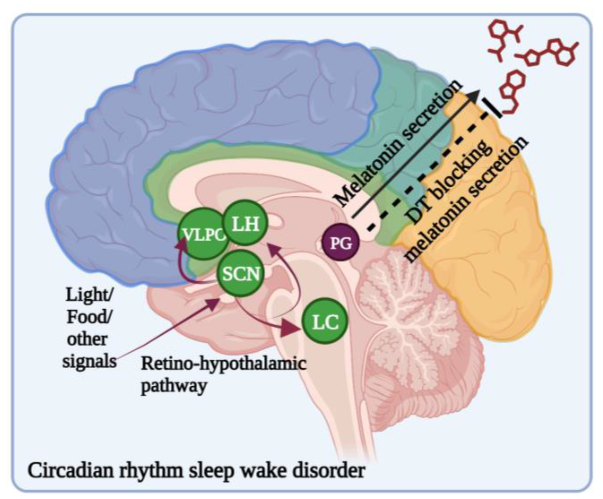 Brainsci 13 01202 g004