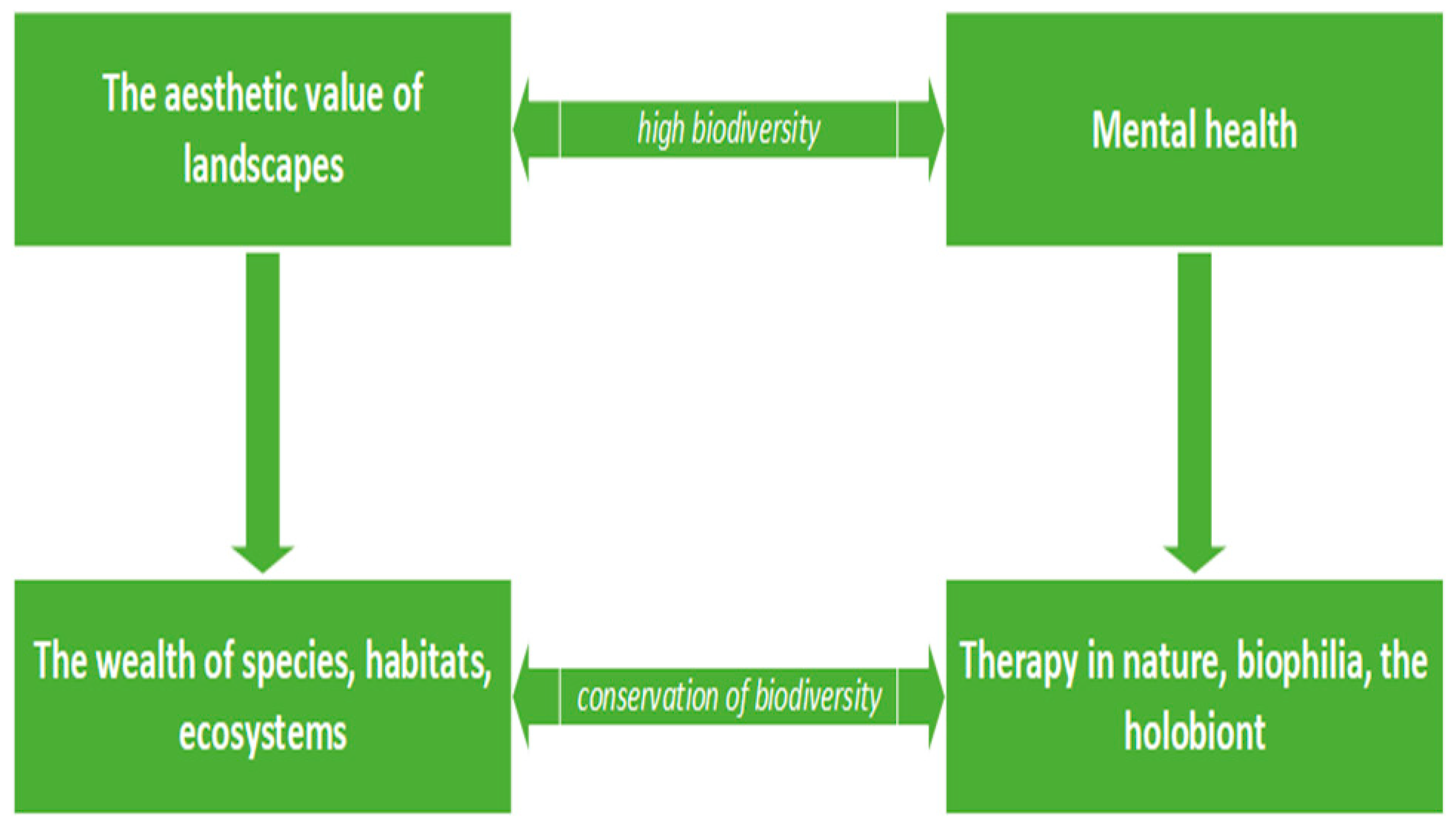Brainsci 13 01205 g001