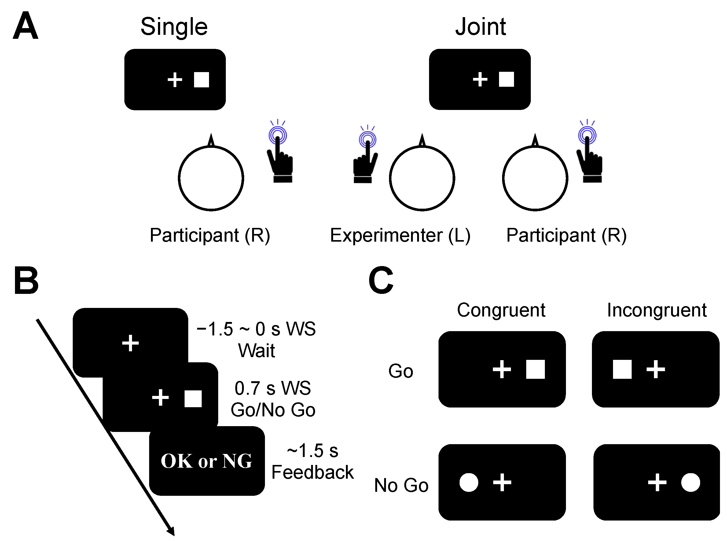 Brainsci 13 01207 g001