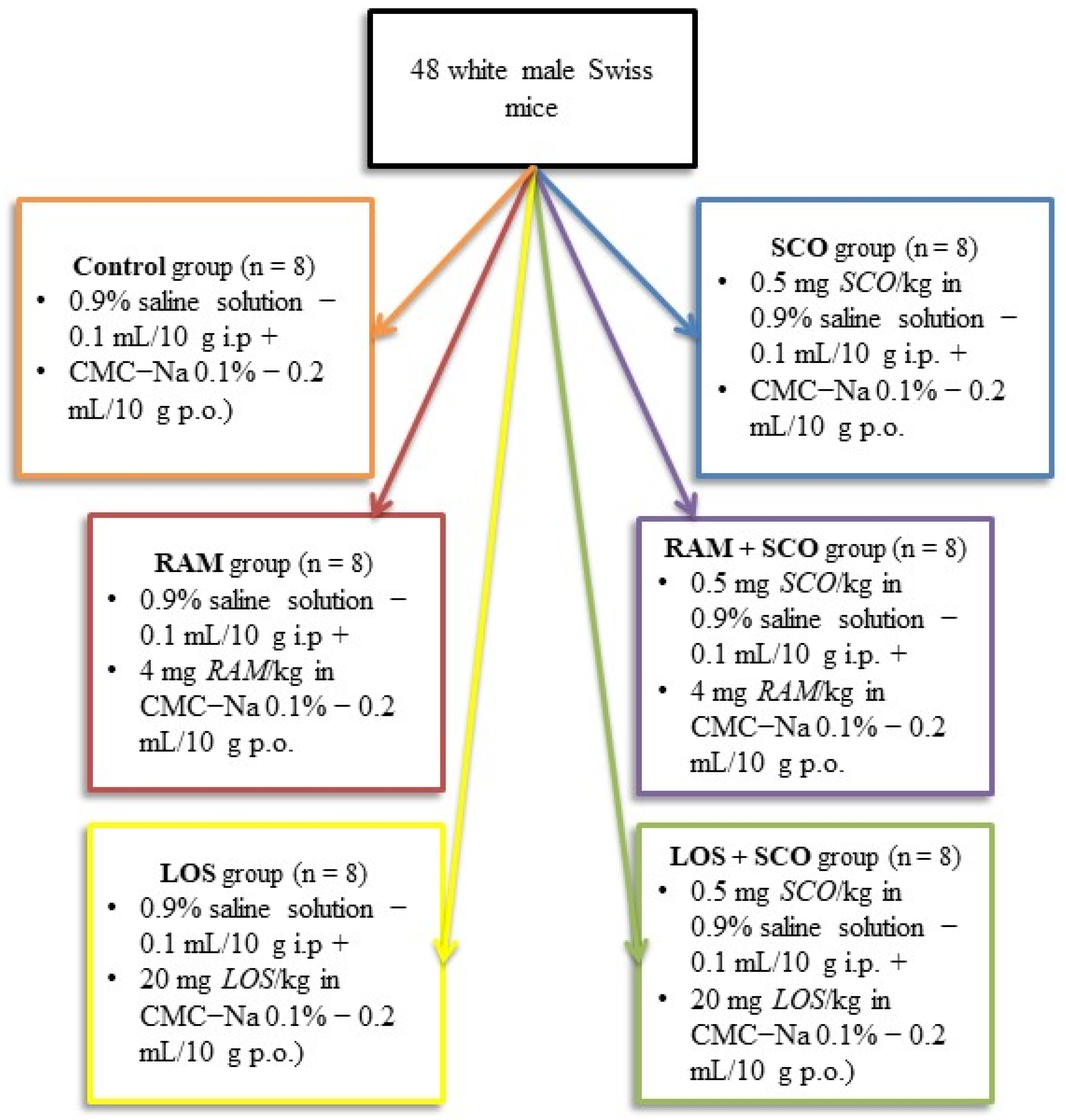 Brainsci 13 01211 g002