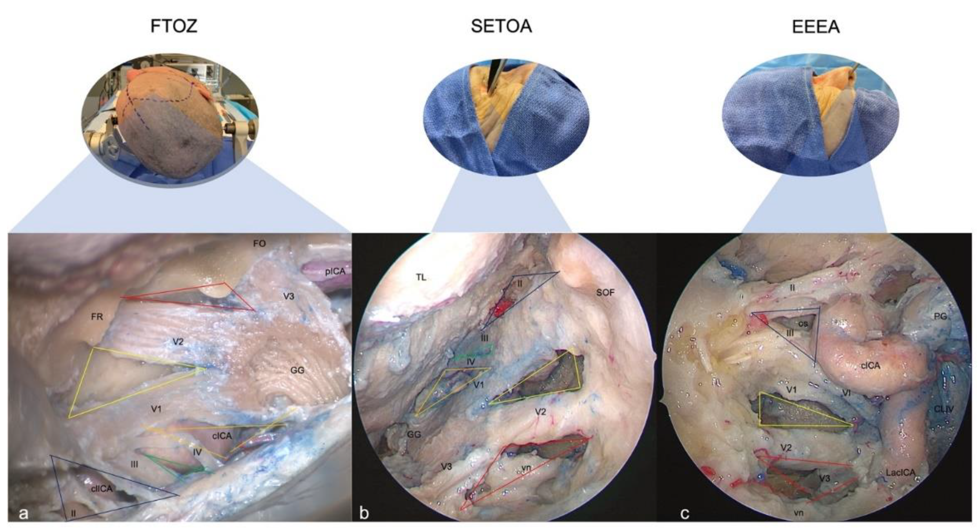 Brainsci 13 01215 g001