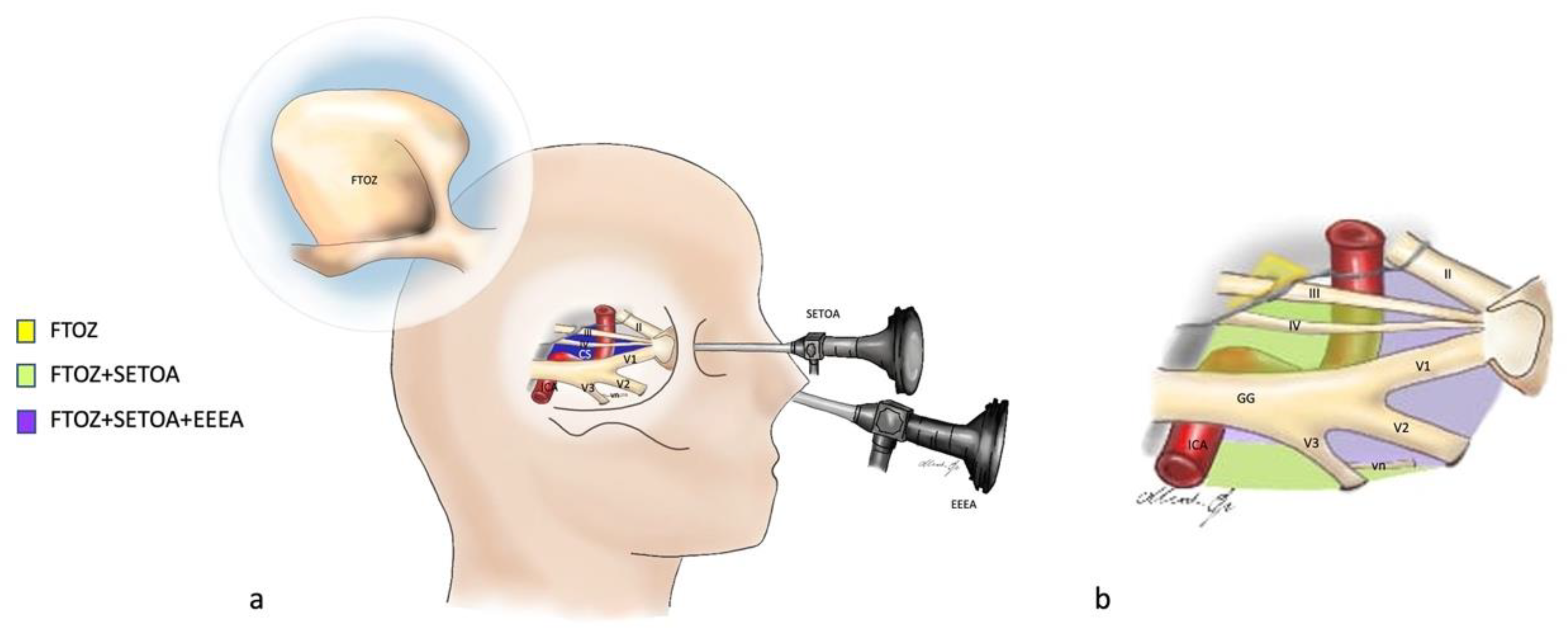 Brainsci 13 01215 g006