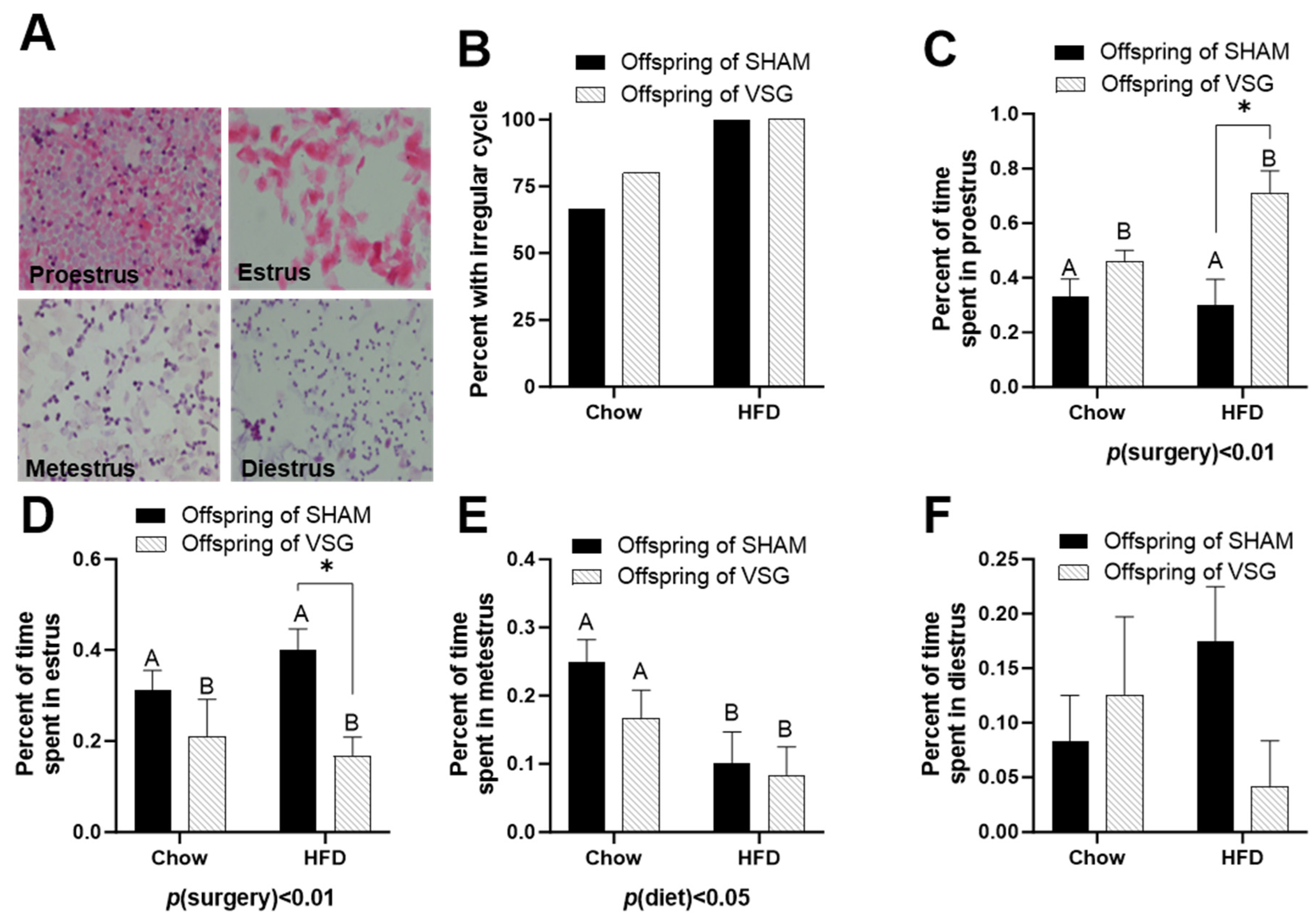 Brainsci 13 01218 g002