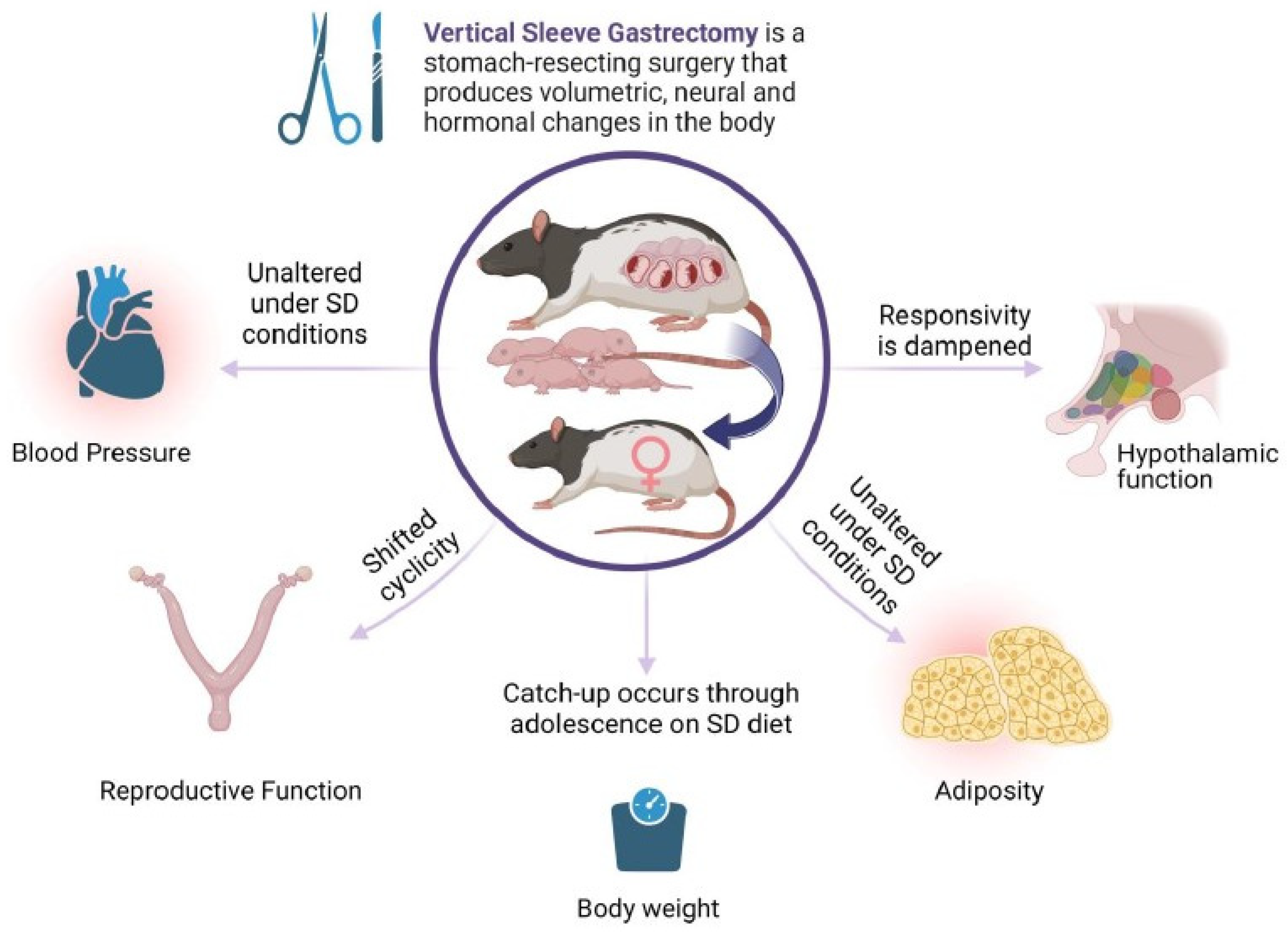 Brainsci 13 01218 g005