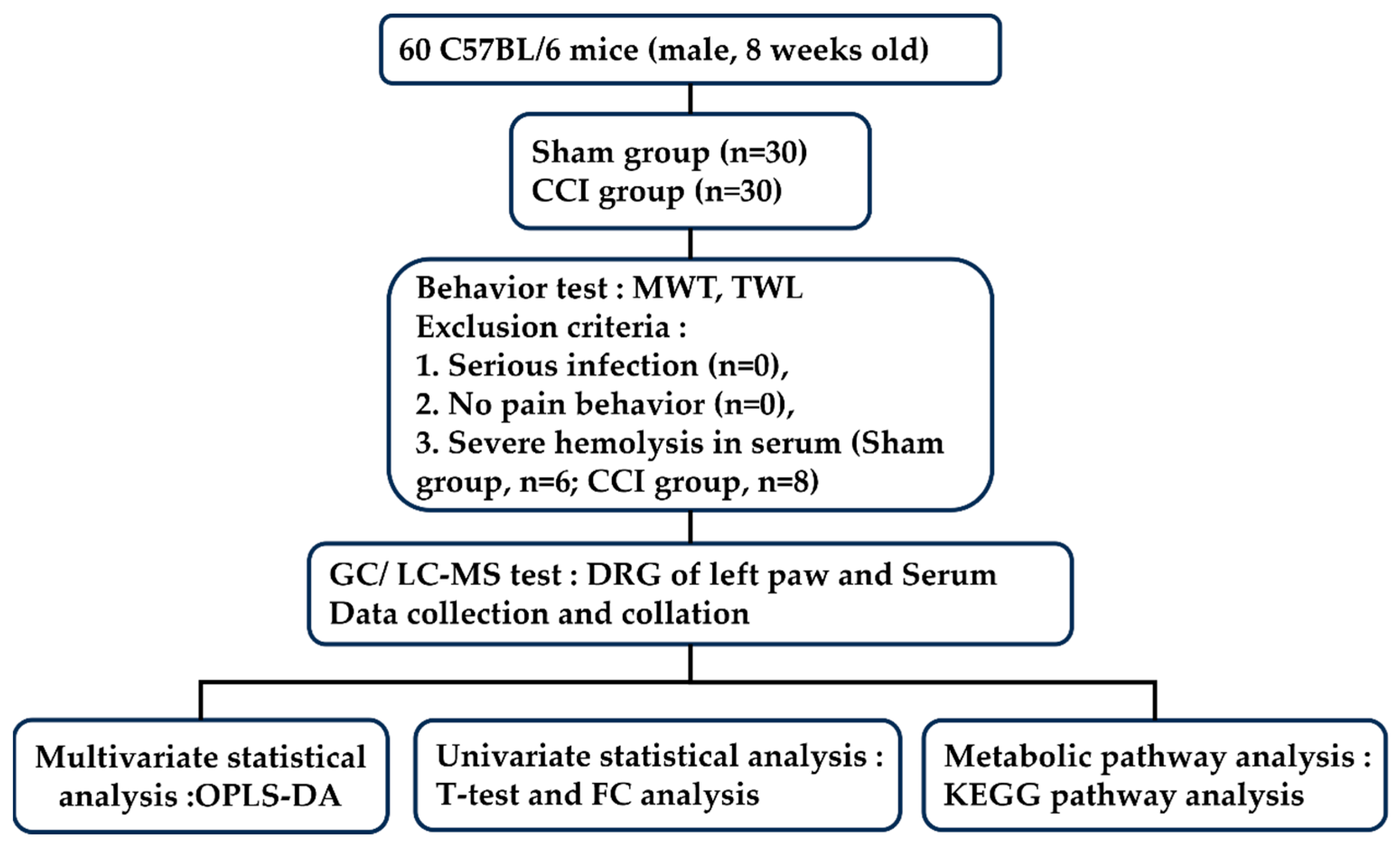 Brainsci 13 01224 g001