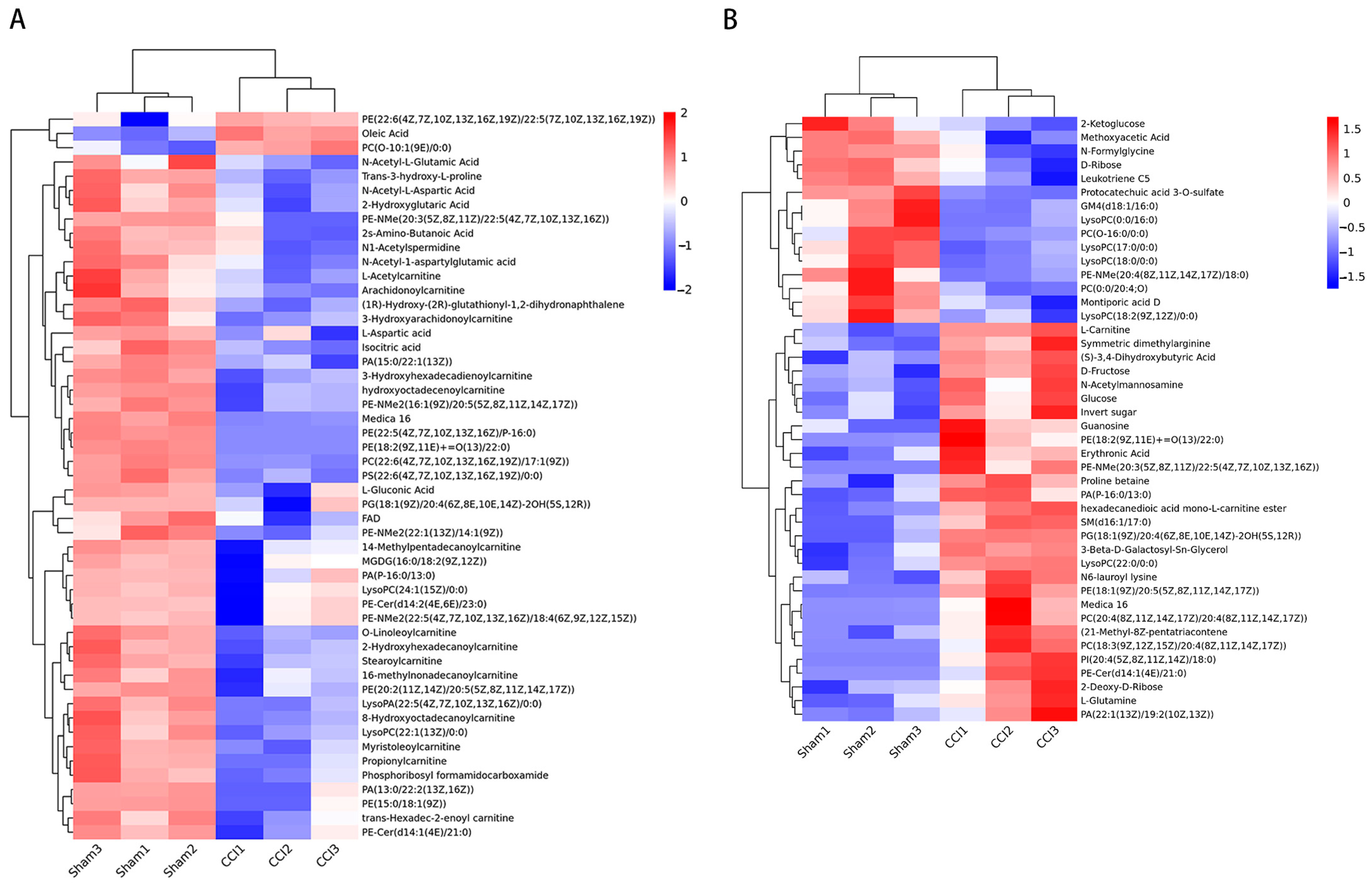 Brainsci 13 01224 g005