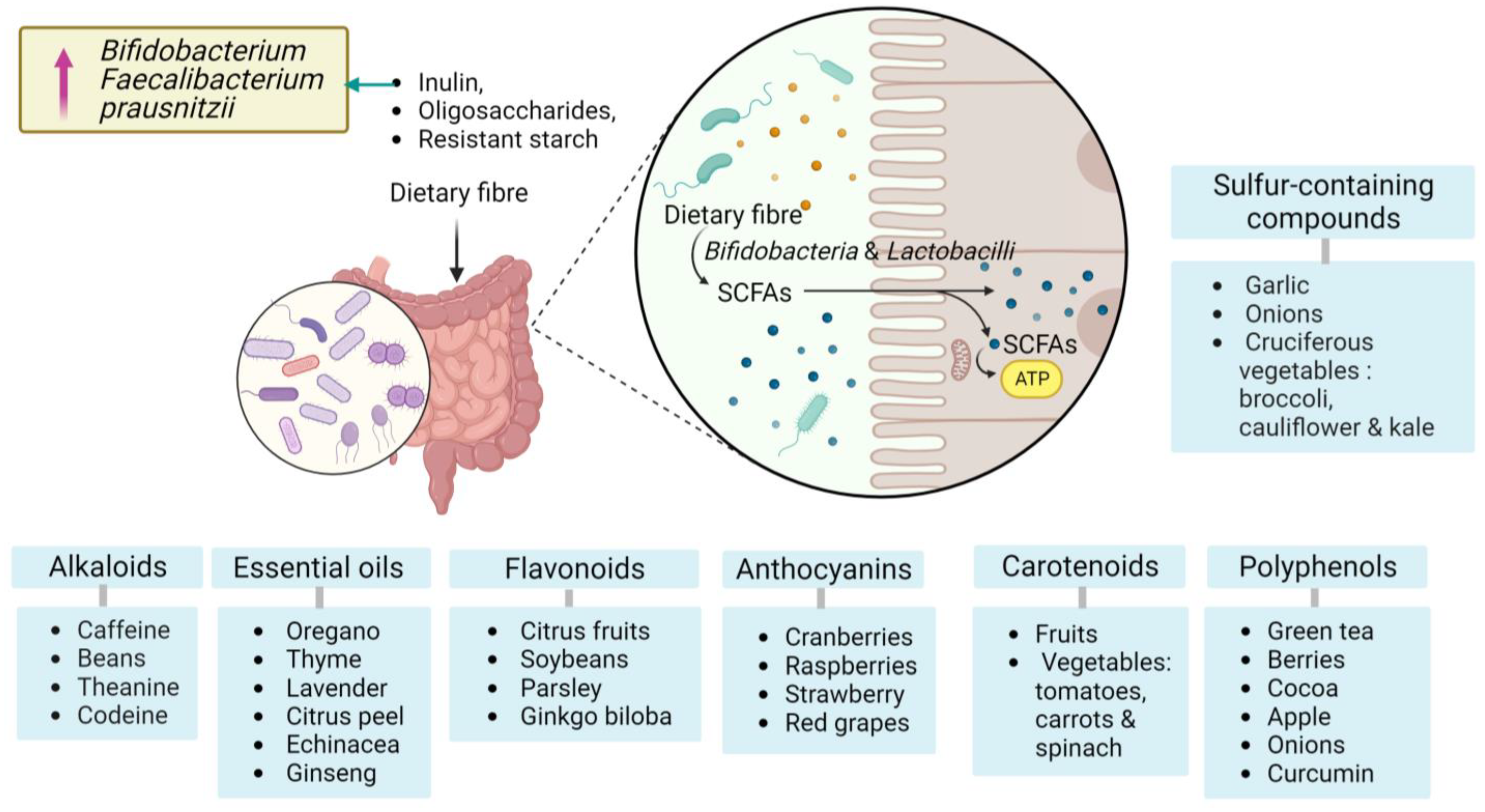 Brainsci 13 01226 g001