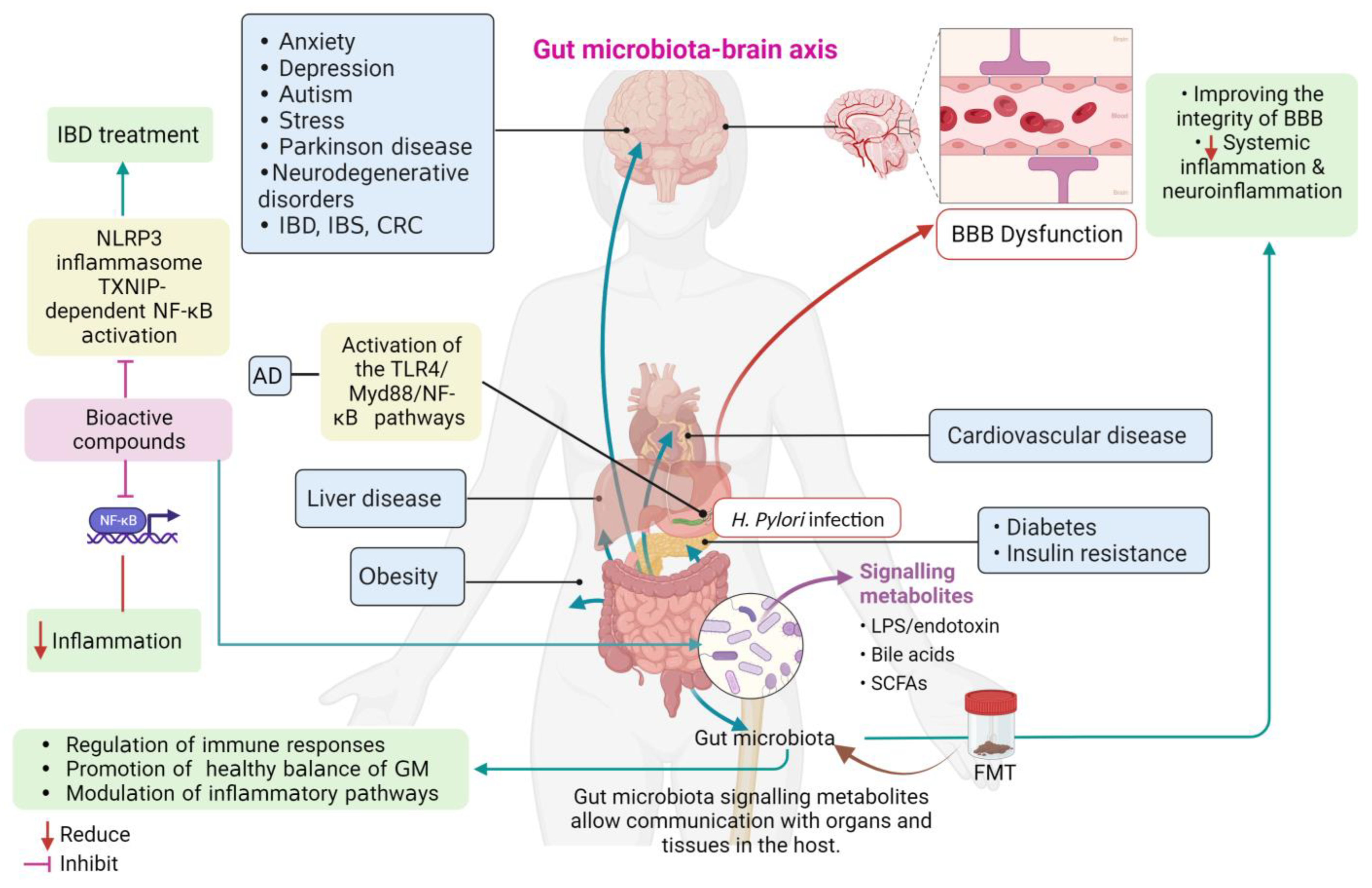 Brainsci 13 01226 g002