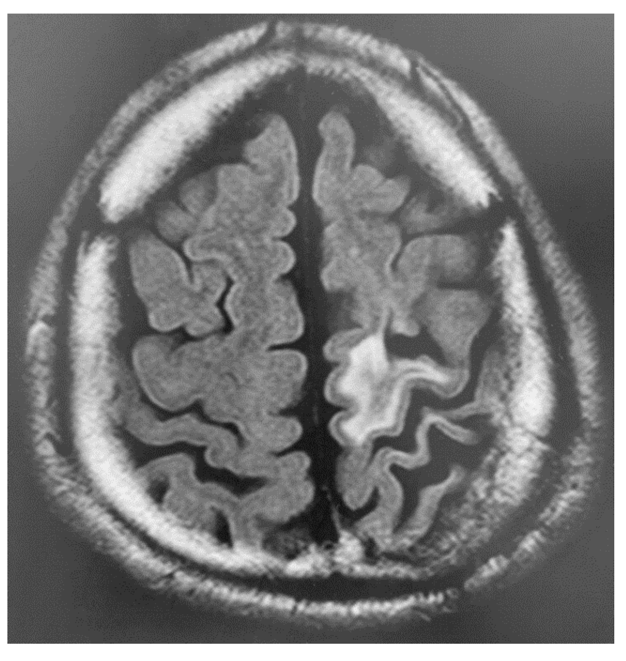 Brainsci 13 01227 g002