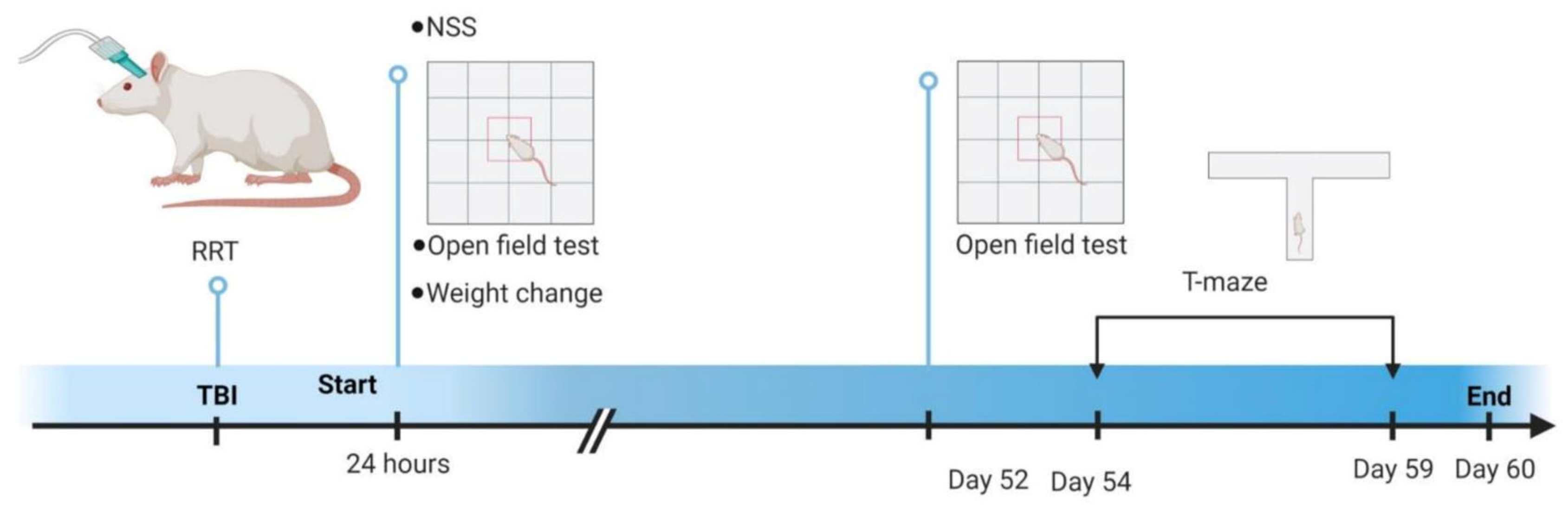 Brainsci 13 01230 g001
