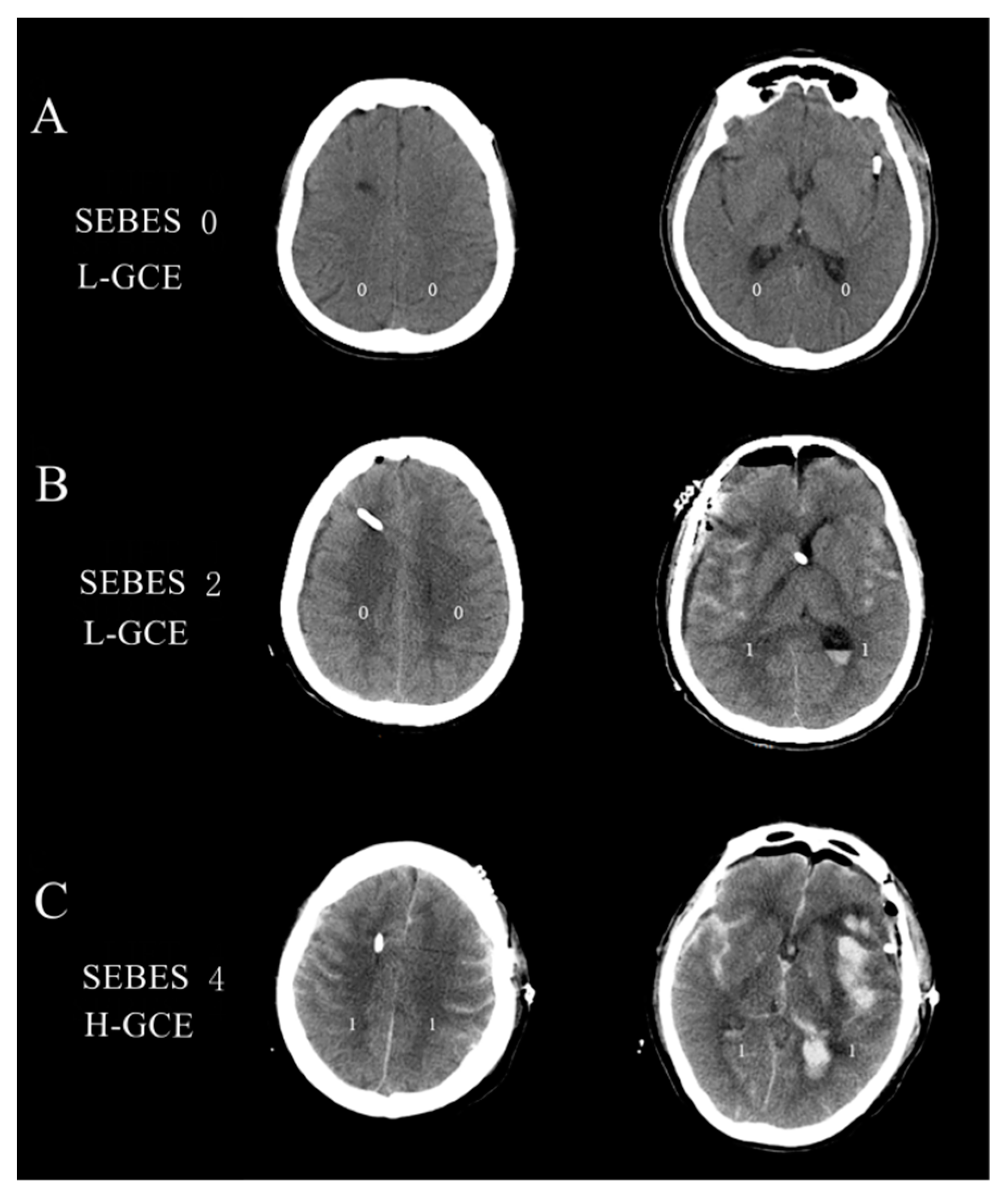 Brainsci 13 01232 g002