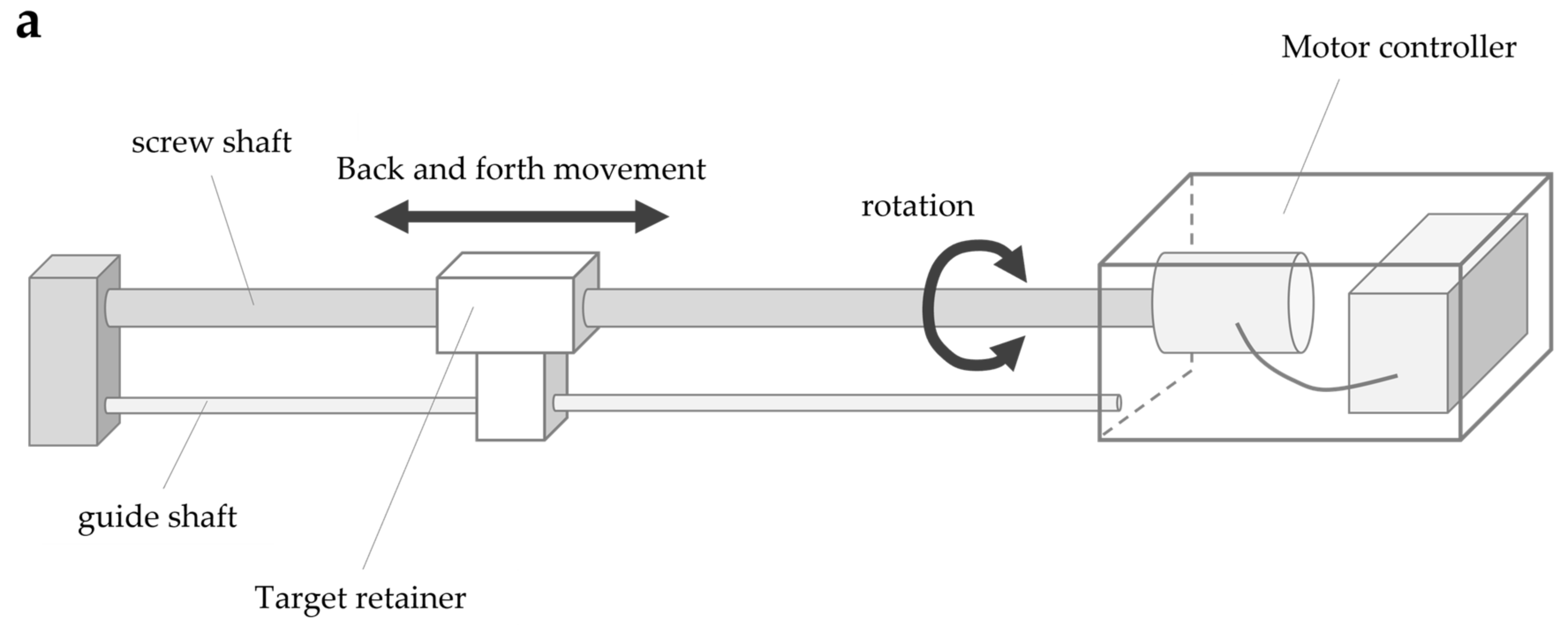 Brainsci 13 01237 g003a
