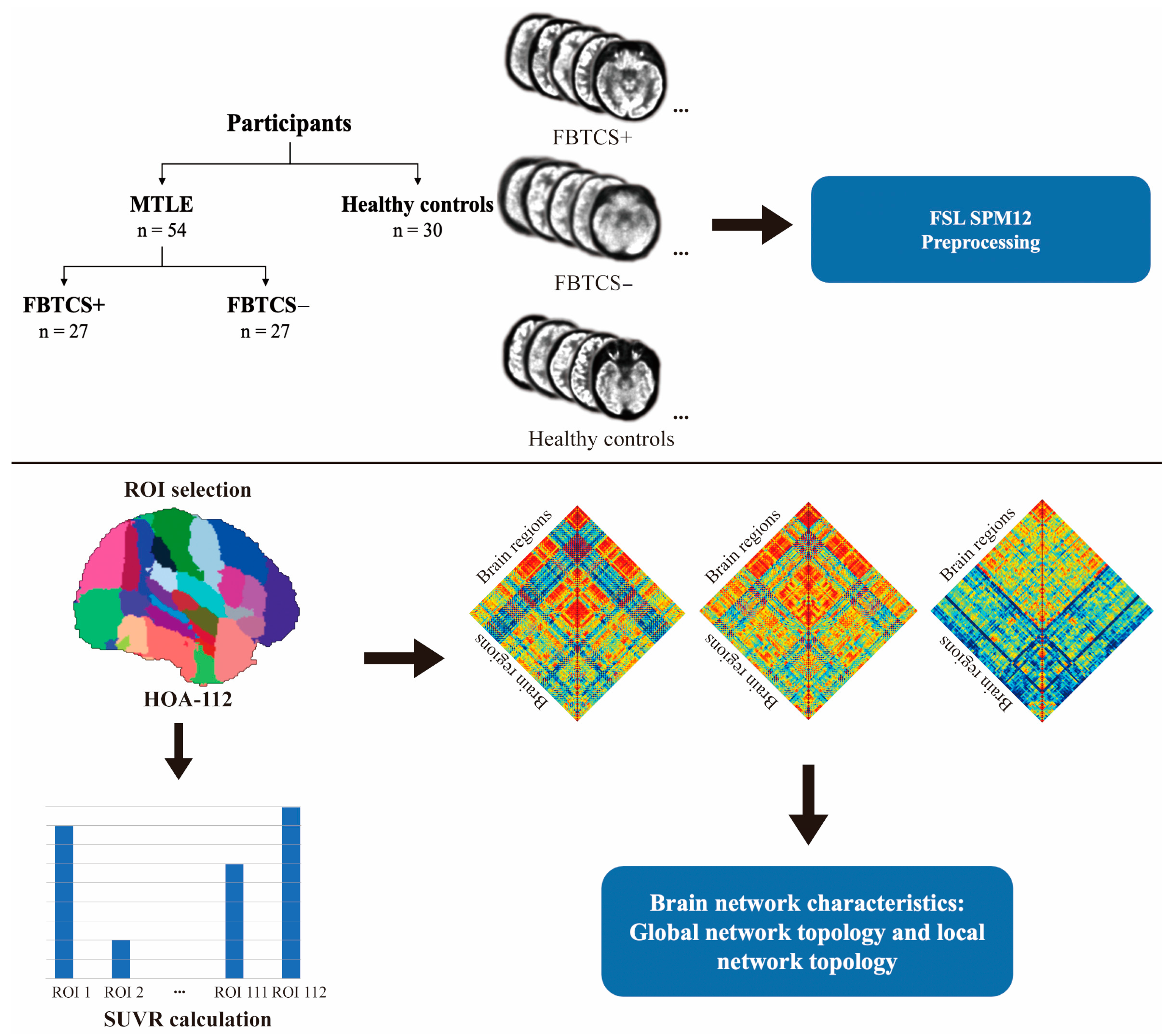 Brainsci 13 01239 g001