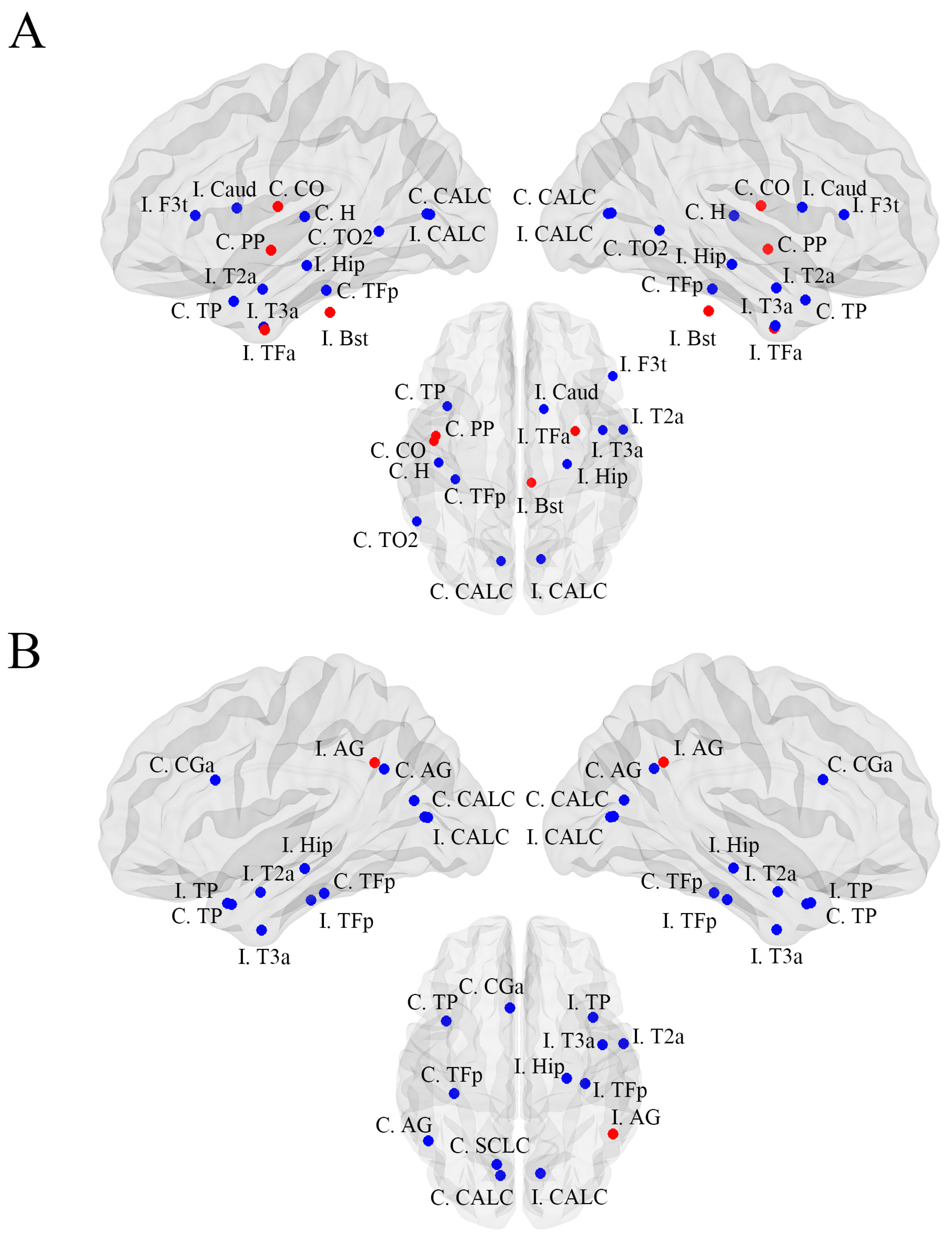 Brainsci 13 01239 g002