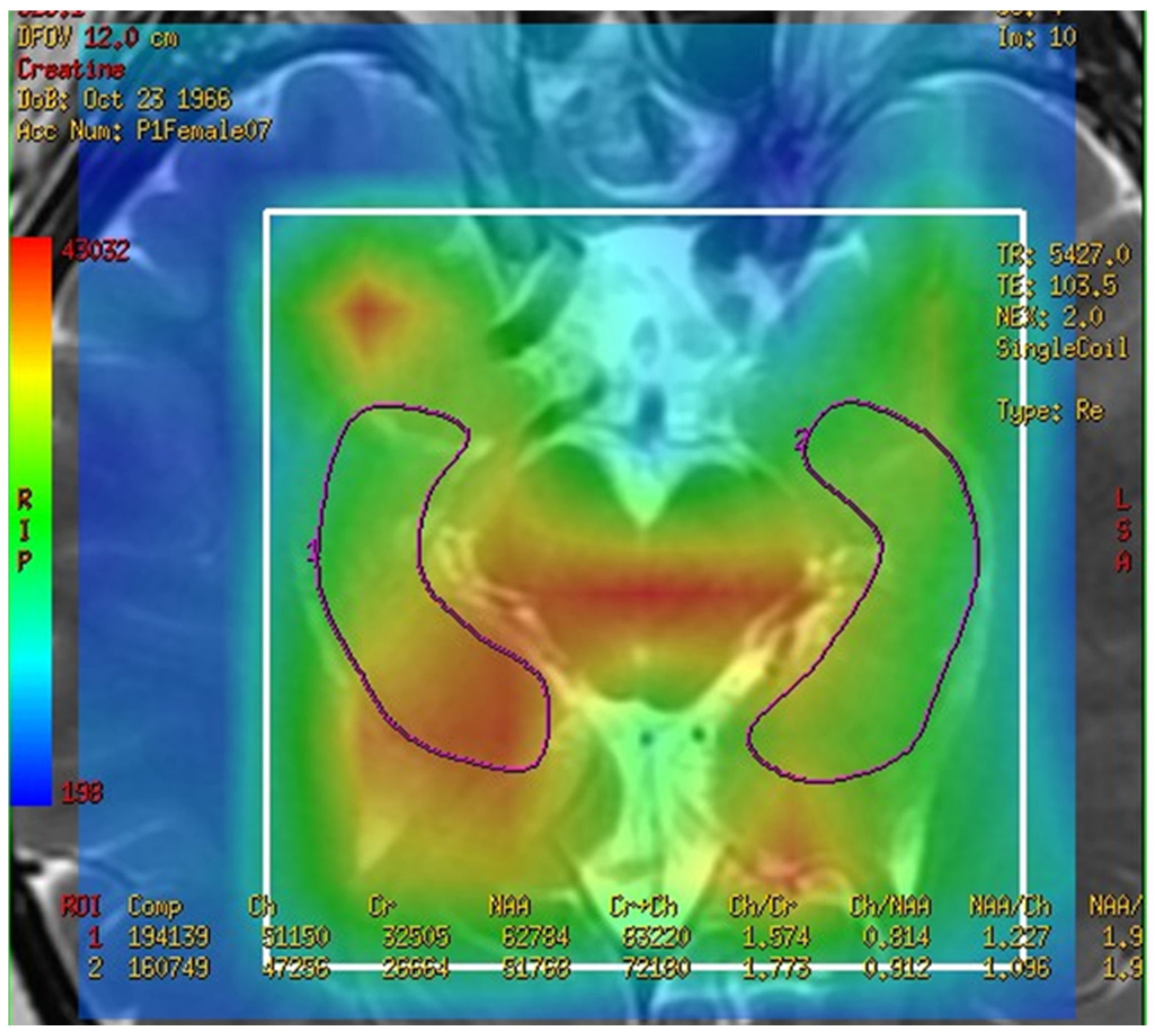 Brainsci 13 01244 g001