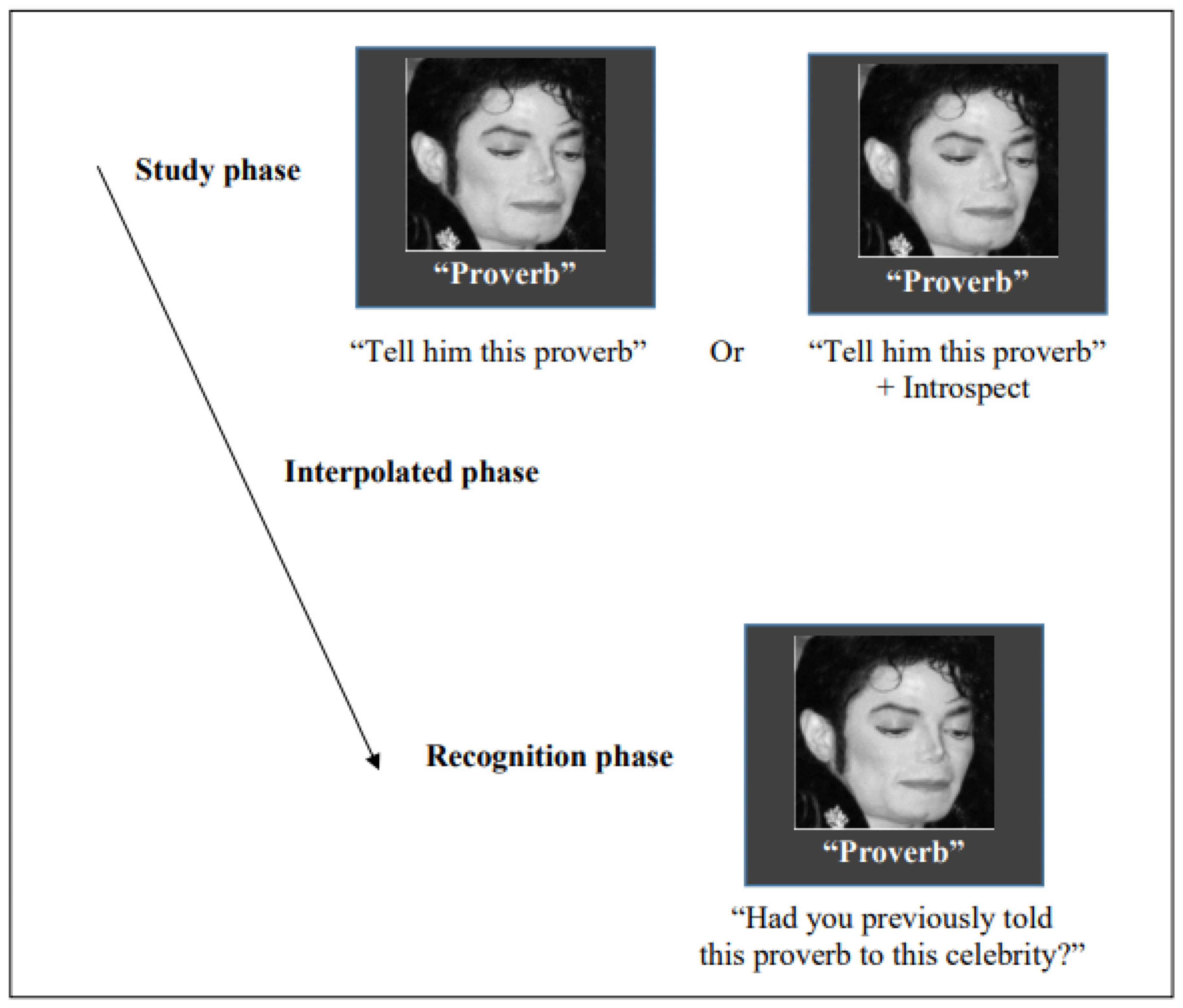 Brainsci 13 01250 g001