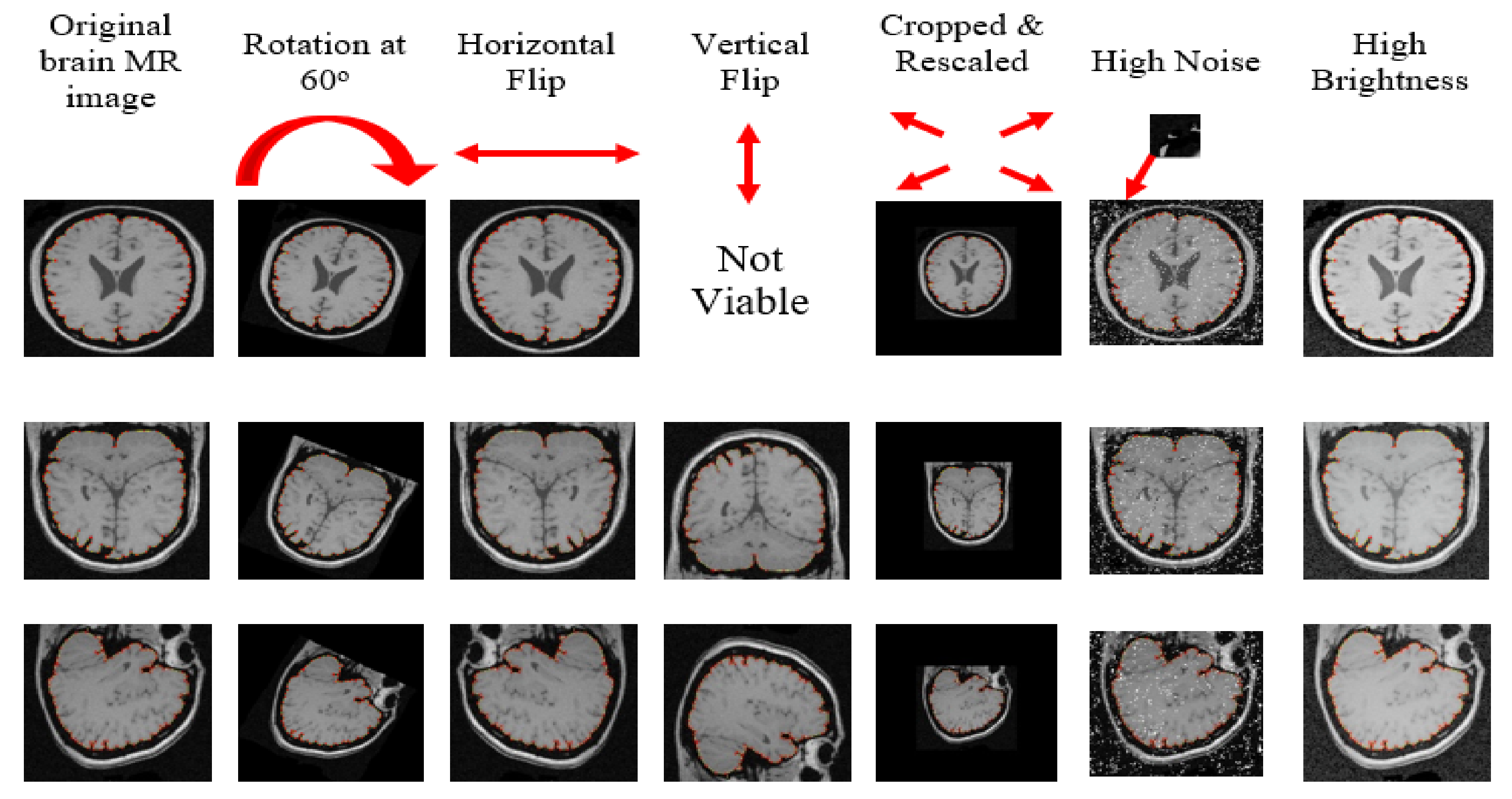 Brainsci 13 01255 g005