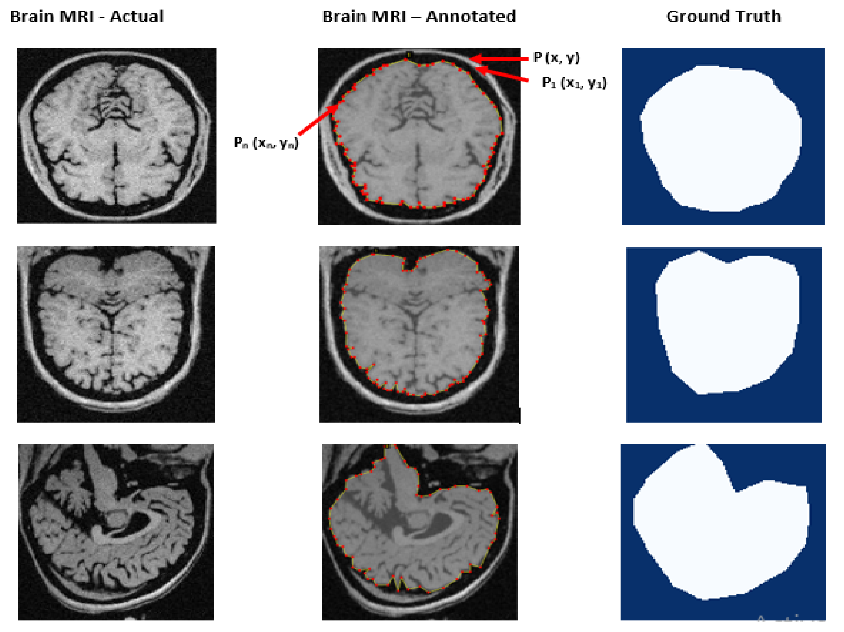 Brainsci 13 01255 g006