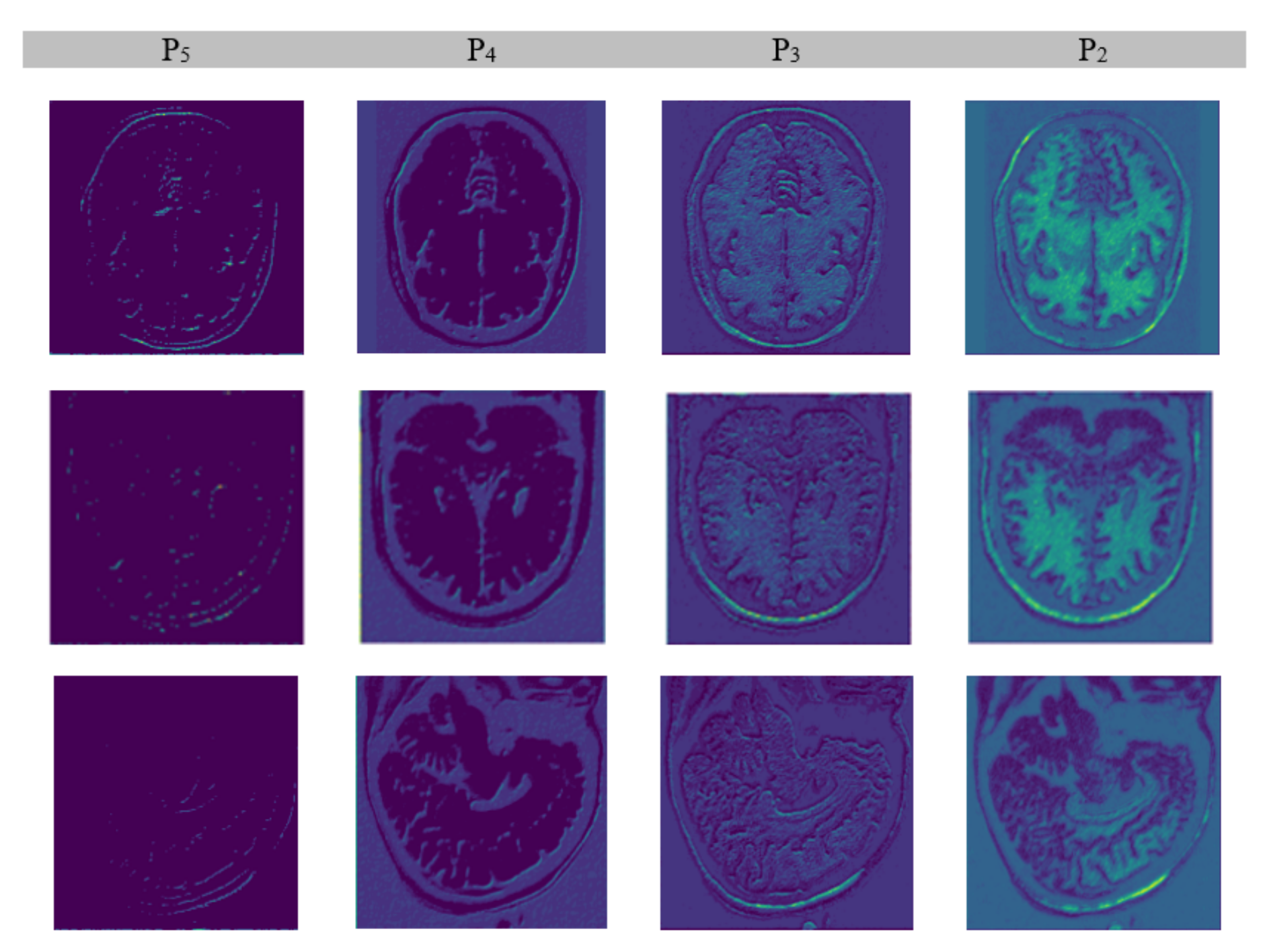 Brainsci 13 01255 g007