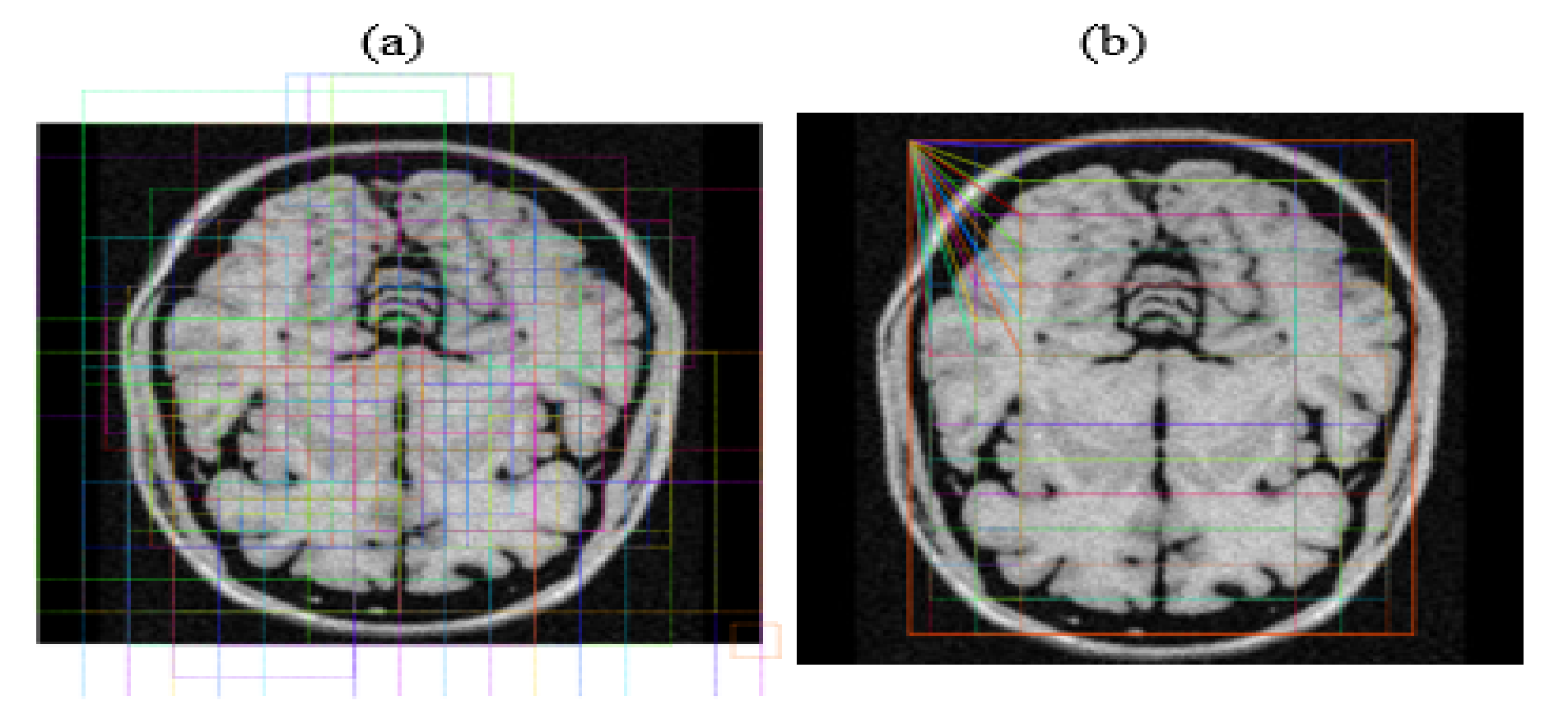 Brainsci 13 01255 g008