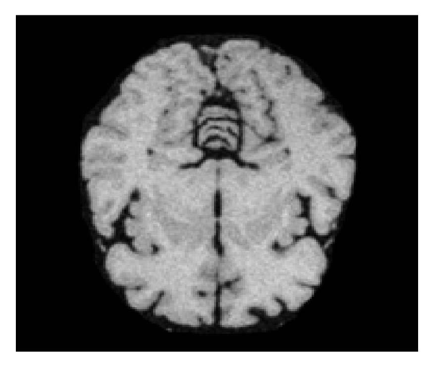 Brainsci 13 01255 g013