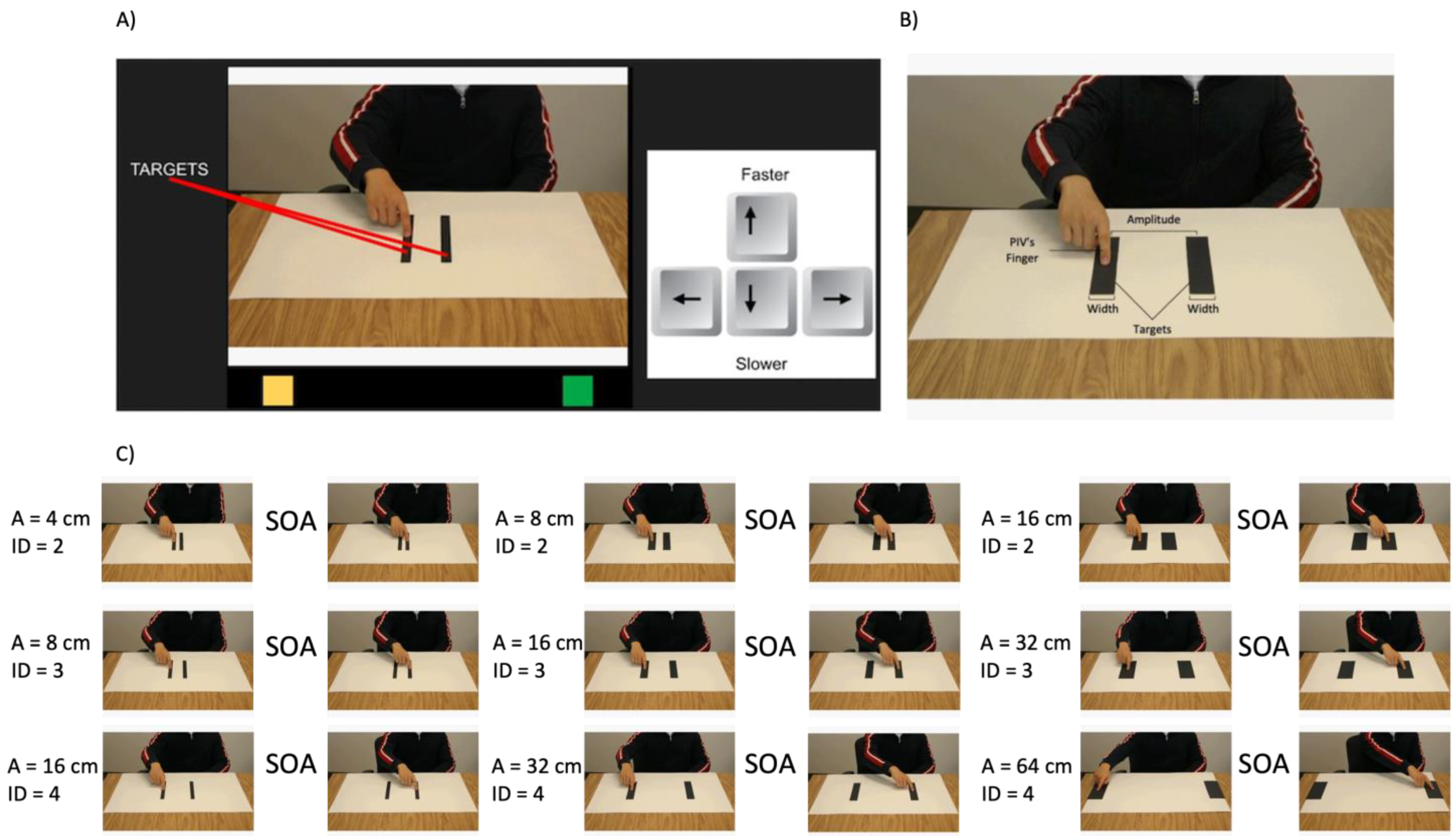 Brainsci 13 01256 g001